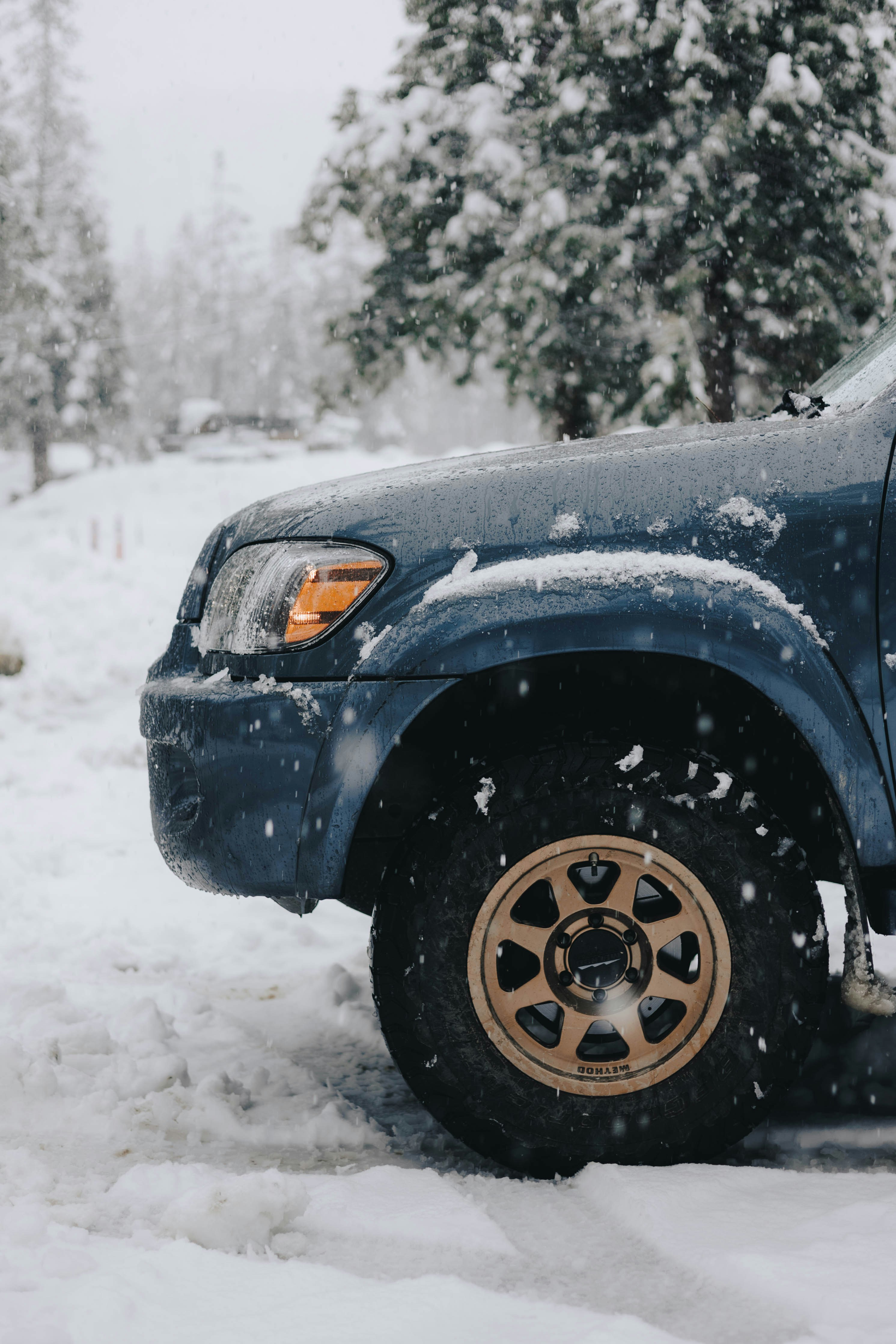 Photo by jeffersonsees