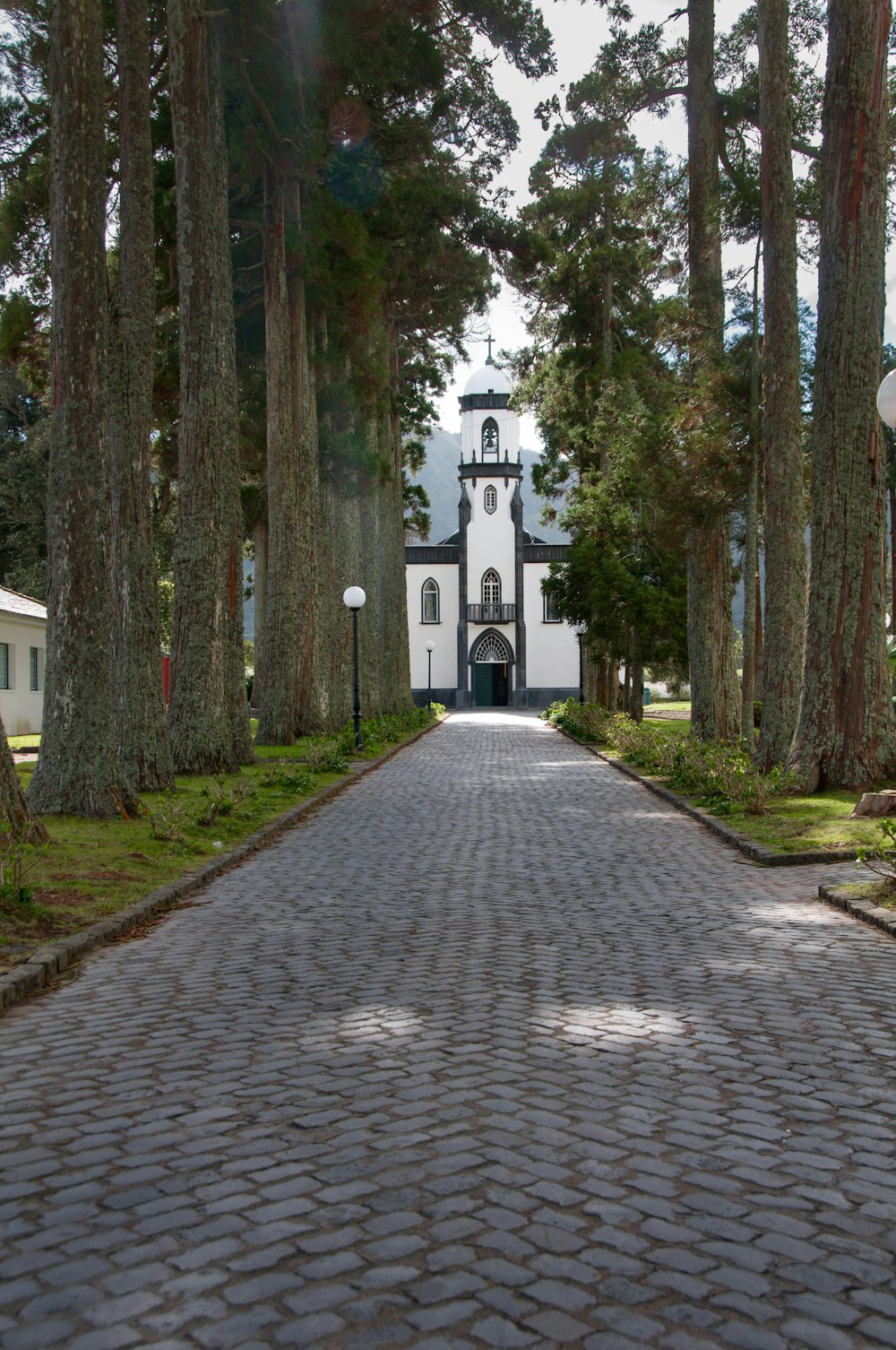 a large white building surrounded by trees and grass