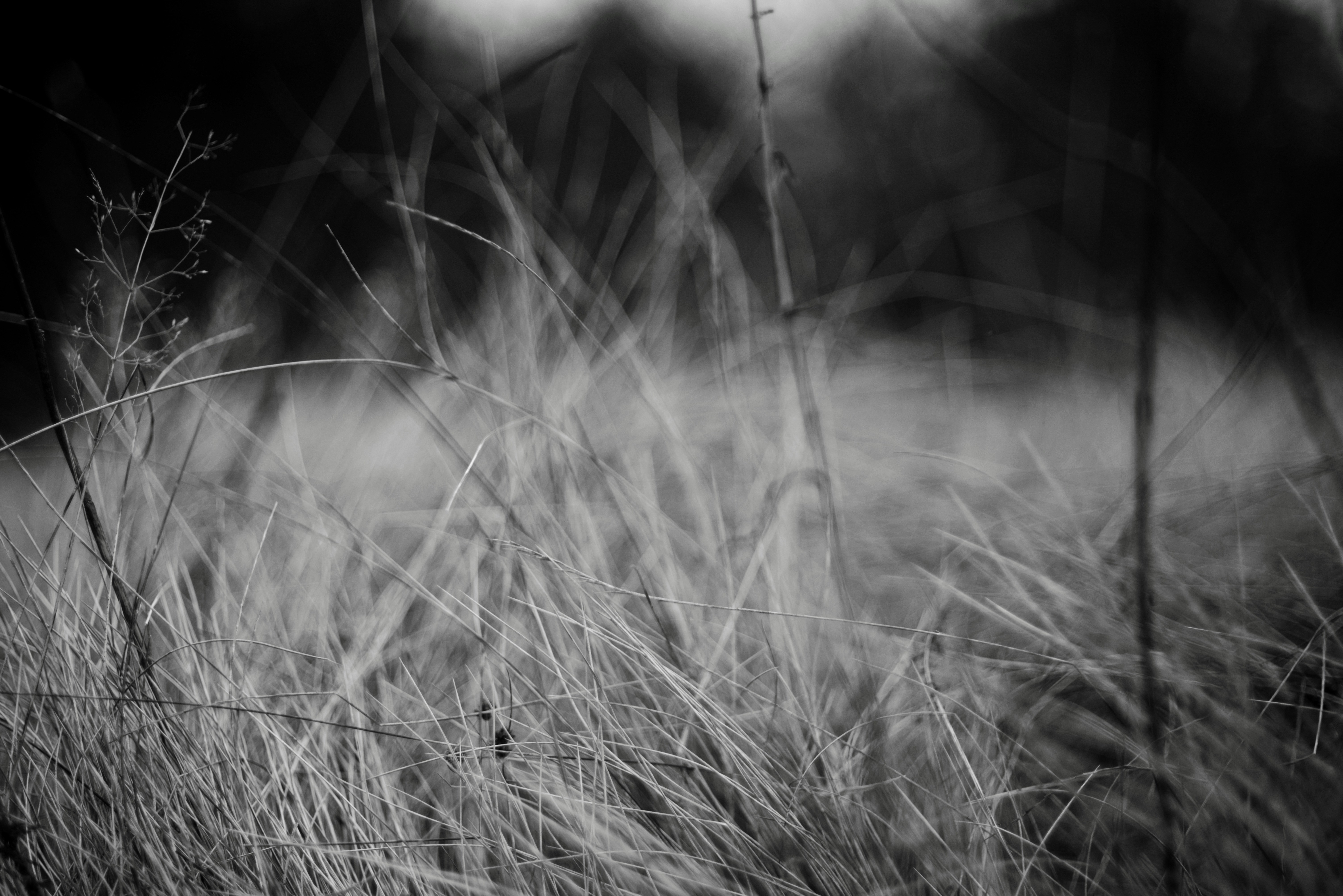 Photo by cherstve_pechivo