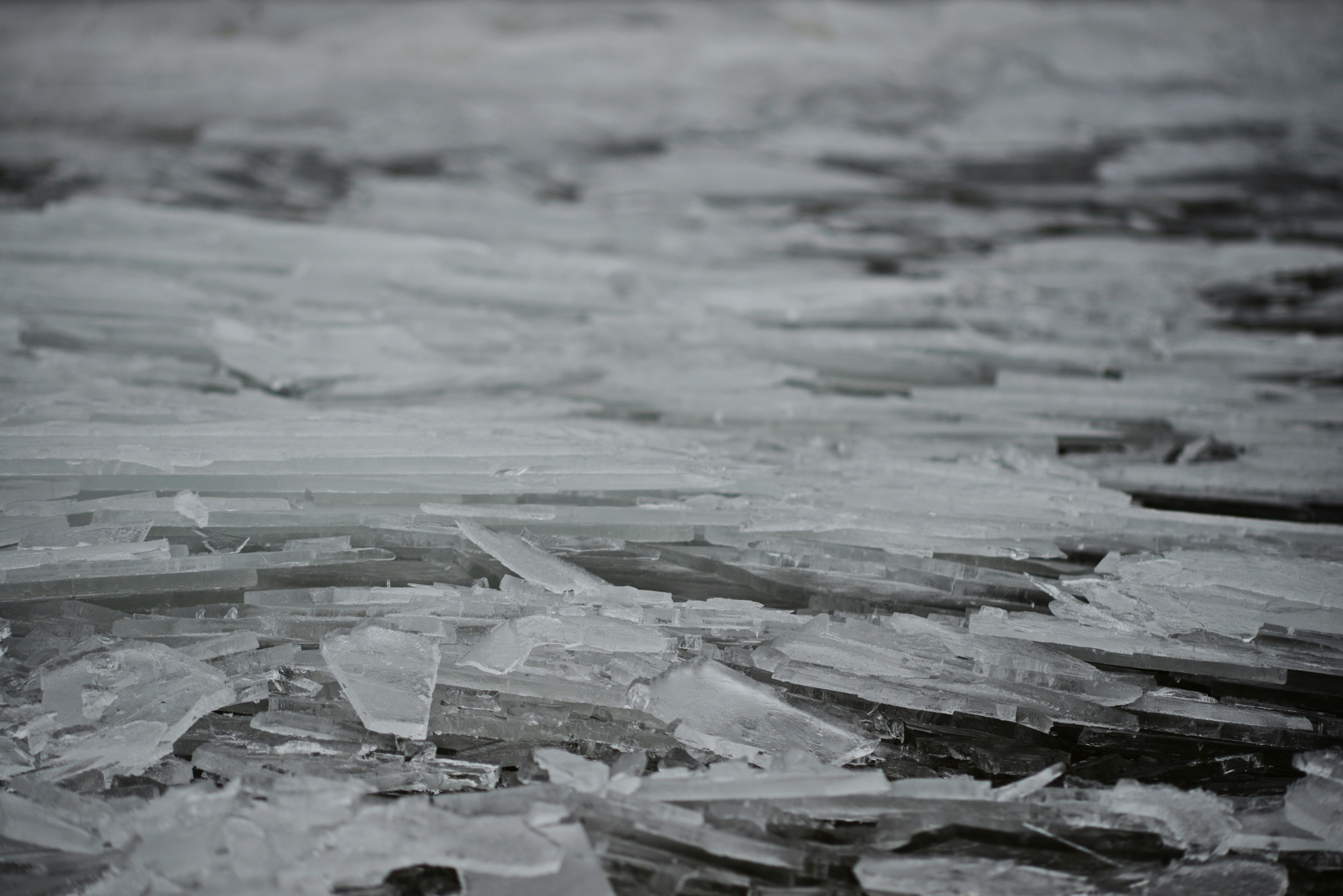 Photo by cherstve_pechivo