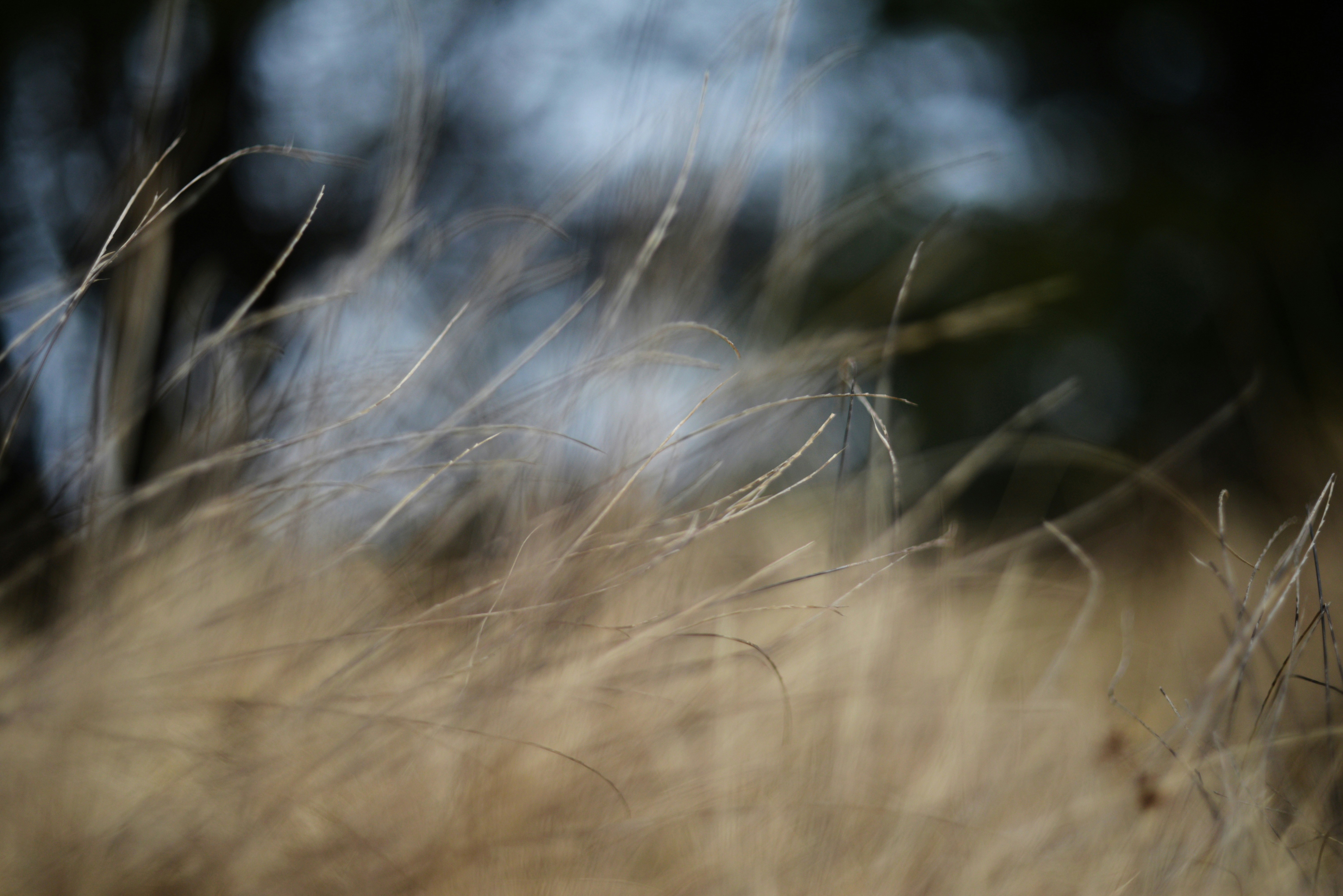 Photo by cherstve_pechivo