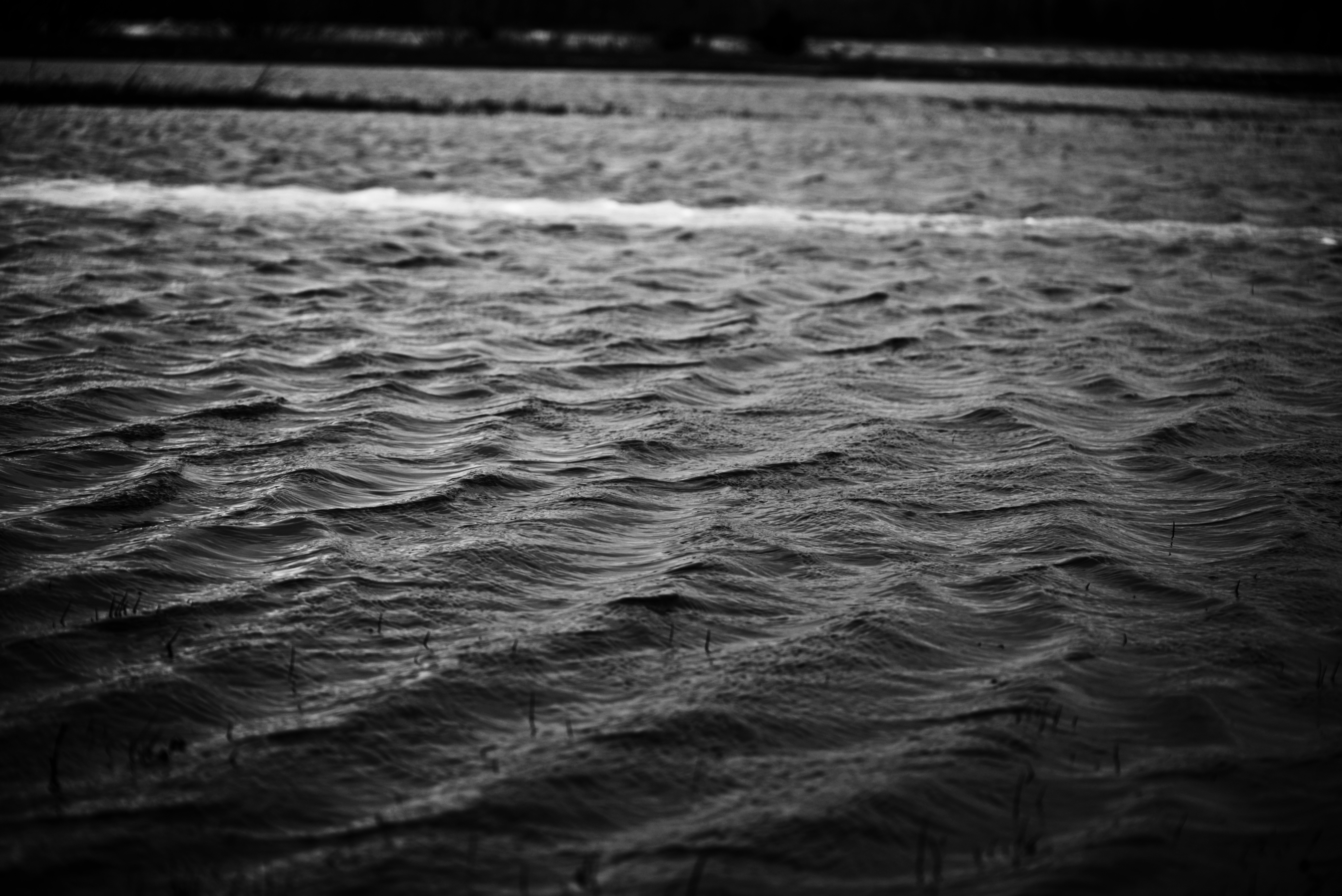 Photo by cherstve_pechivo