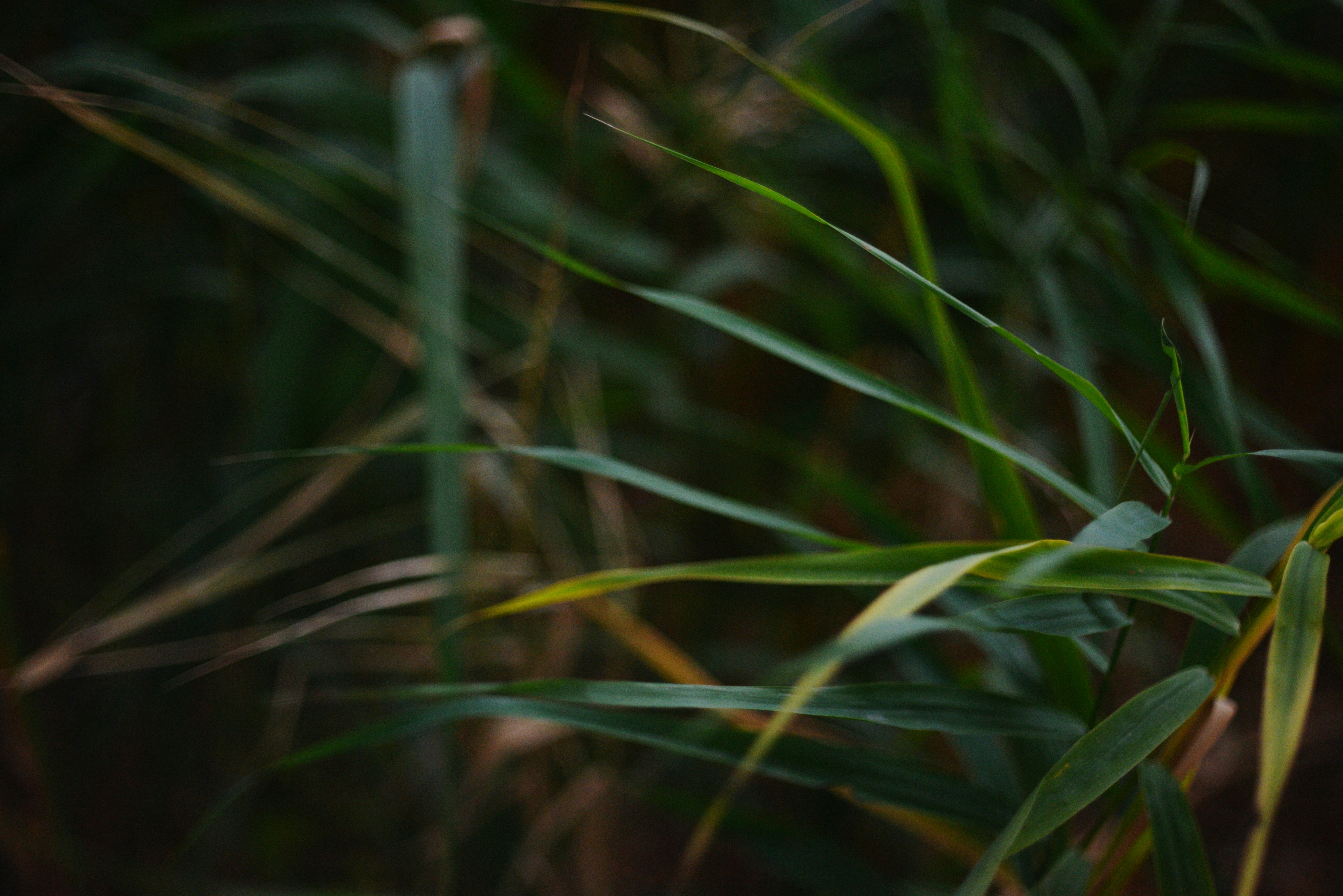 Photo by cherstve_pechivo