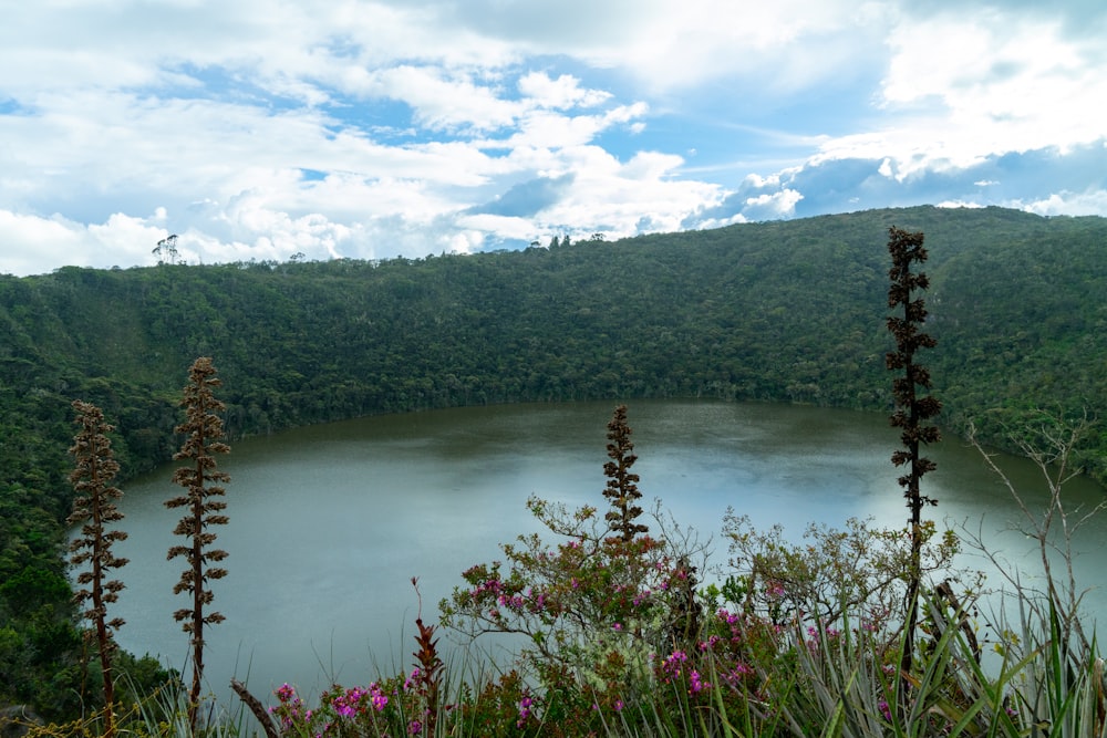 a lake surrounded by a lush green hillside