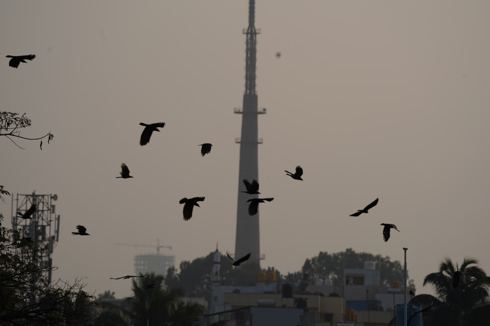 a flock of birds flying in front of a tall building