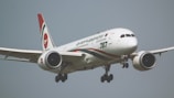 a large jetliner flying through a gray sky