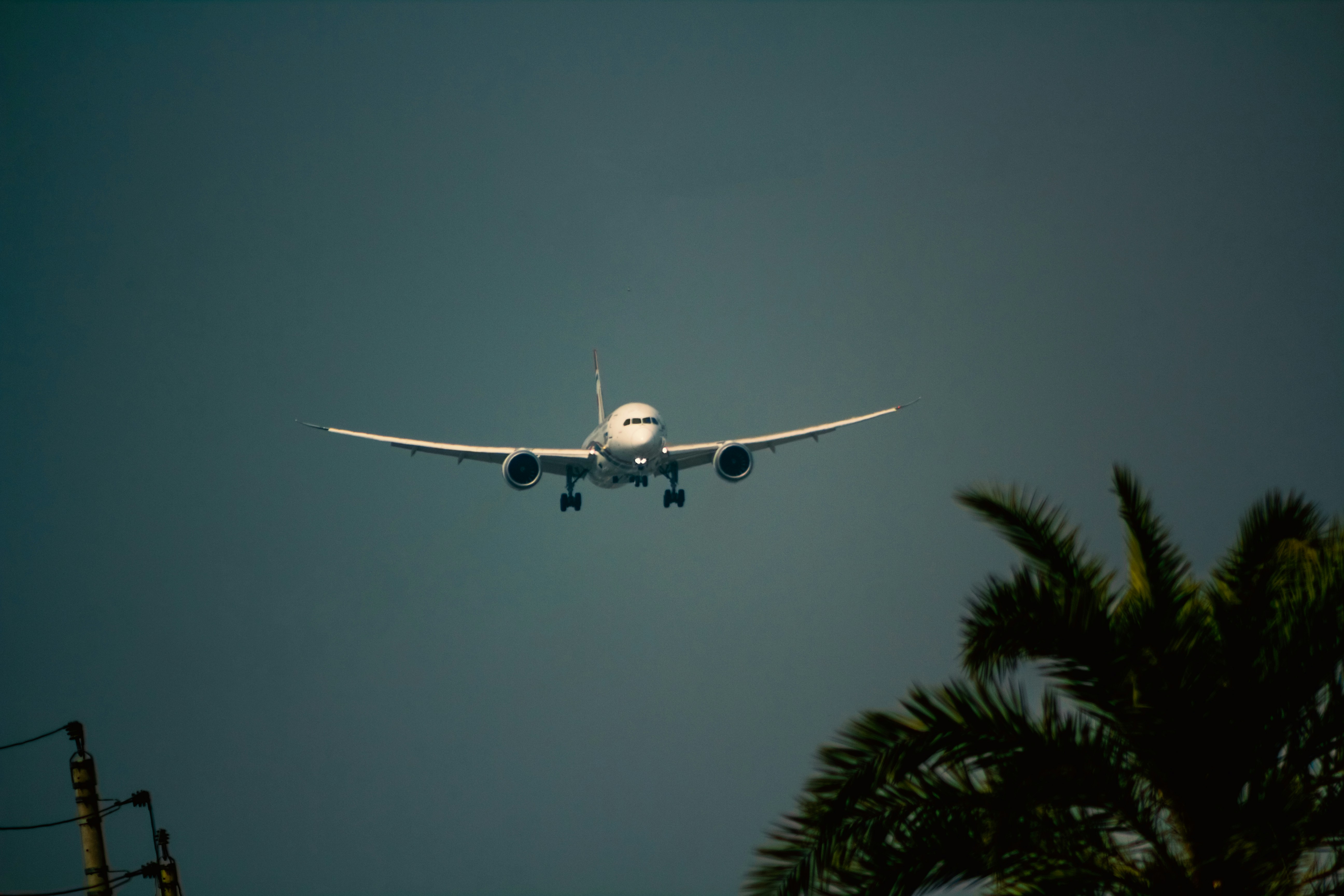 a large jetliner flying through a blue sky, Biman Bangladesh 787
