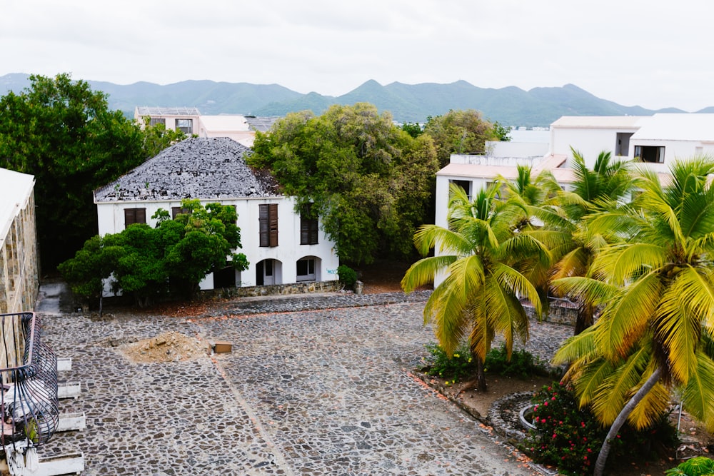 a white house surrounded by palm trees on a cloudy day