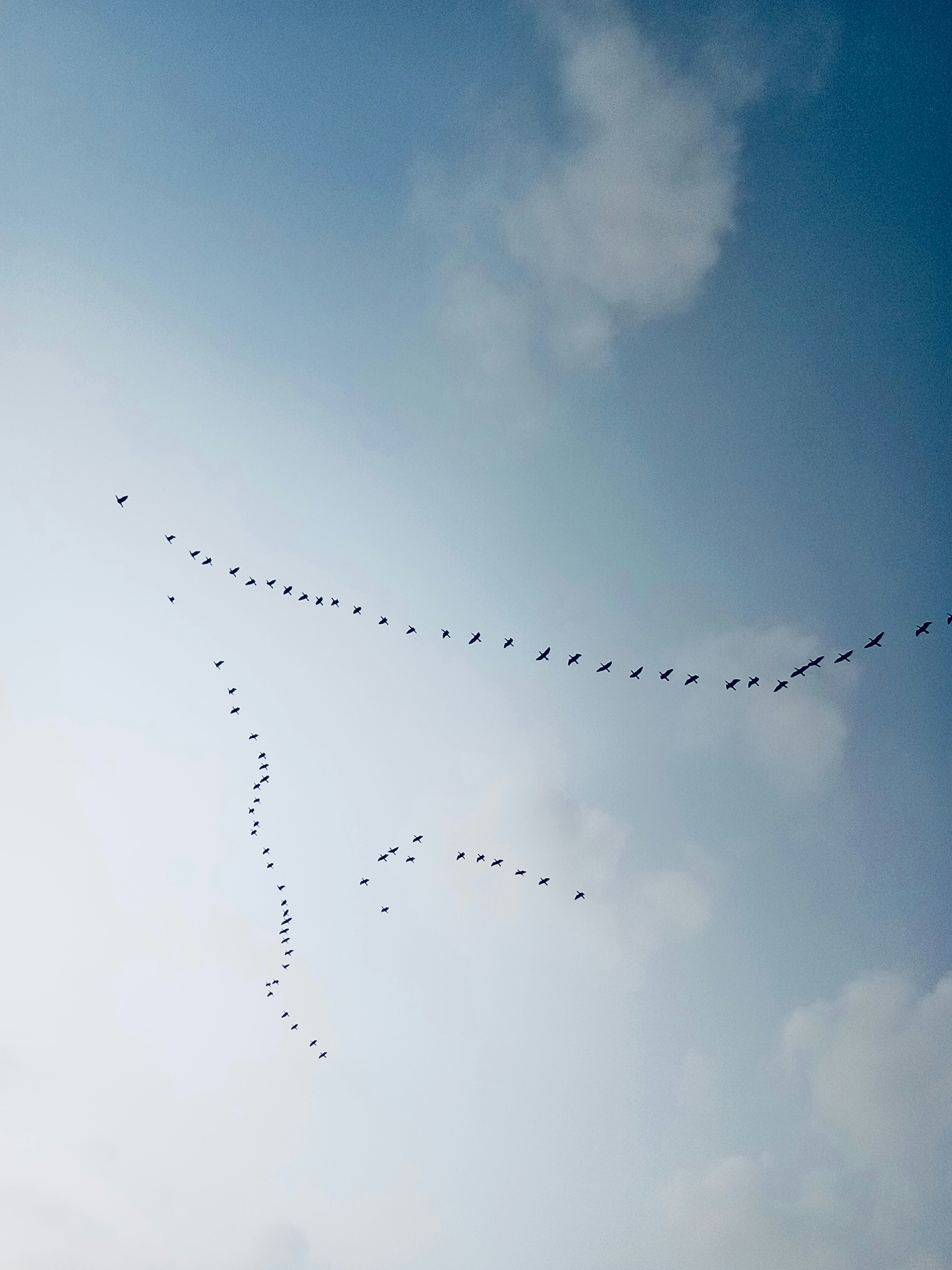 Photo by valmikiudaysai