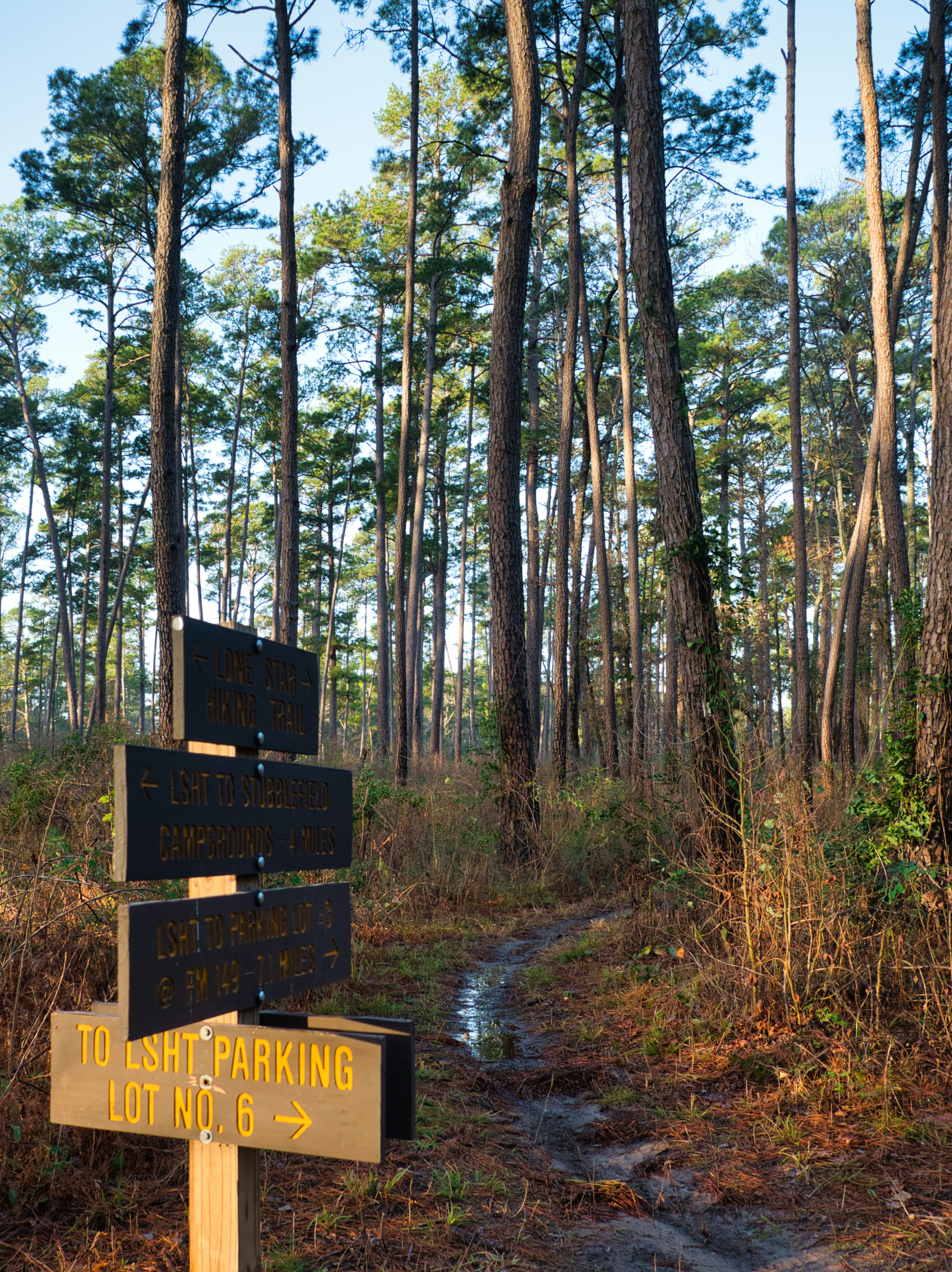 A sign in the middle of a wooded area photo – Free Trail Image on Unsplash