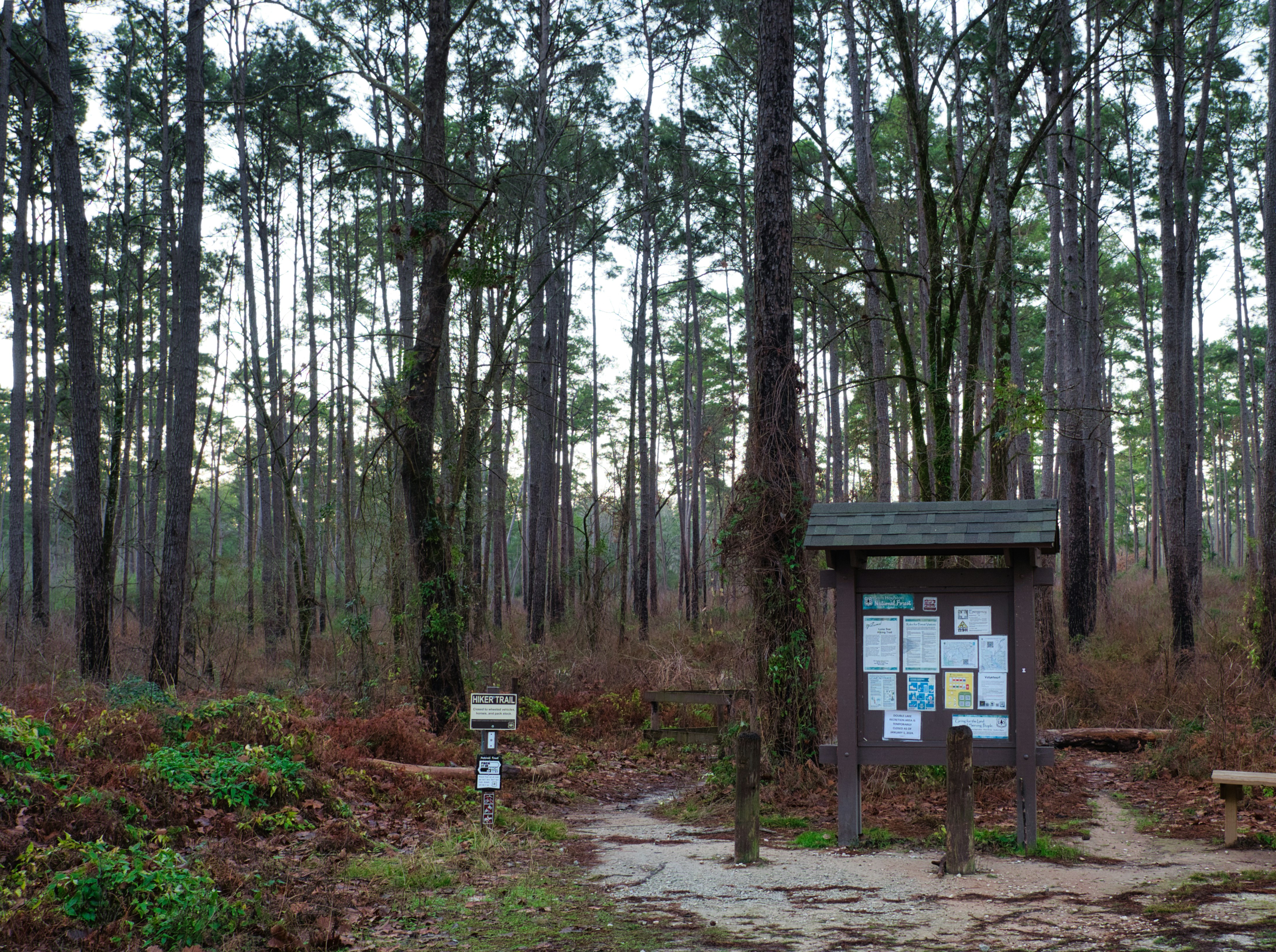 Cypress Creek Park