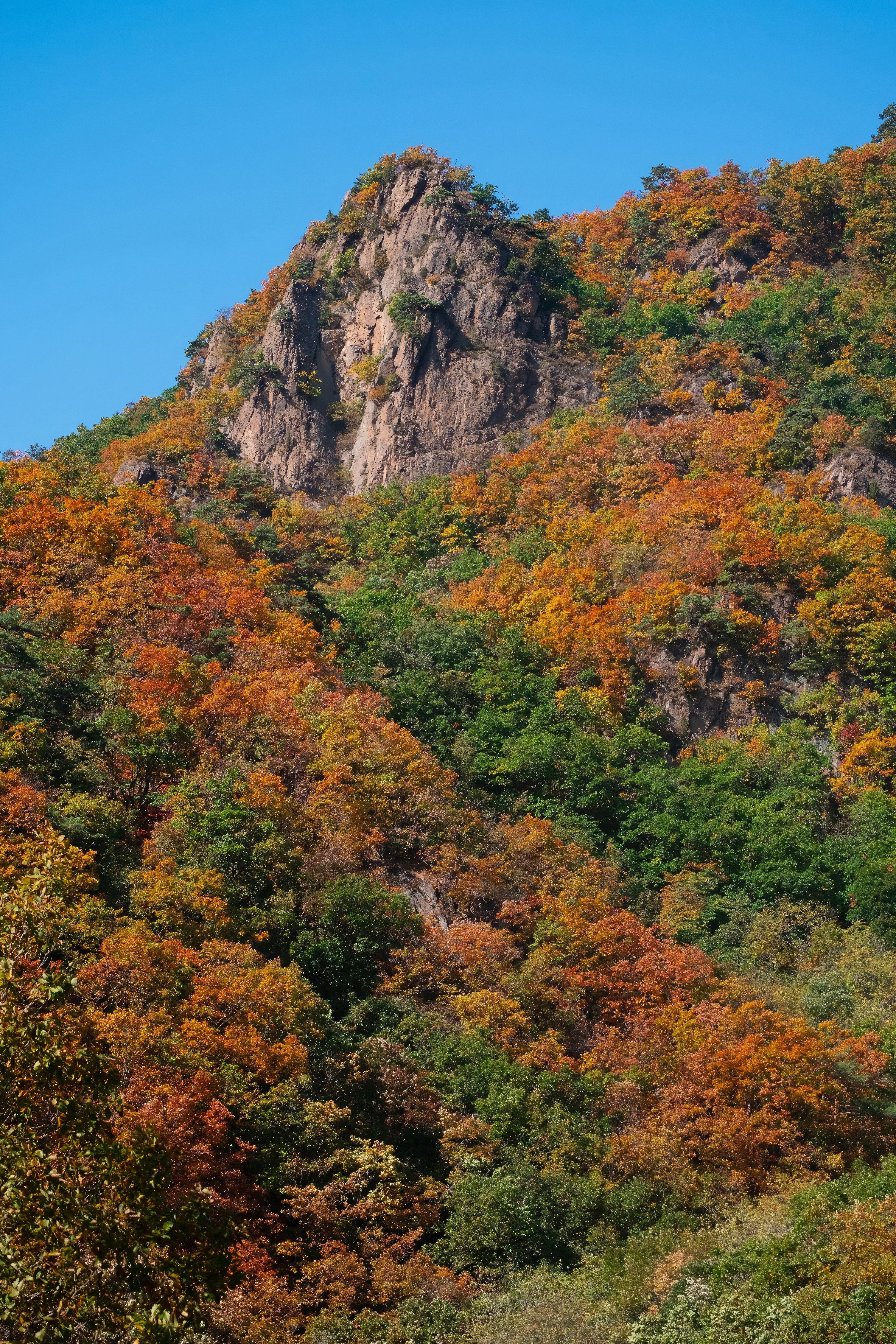 Photo by hattrick1996