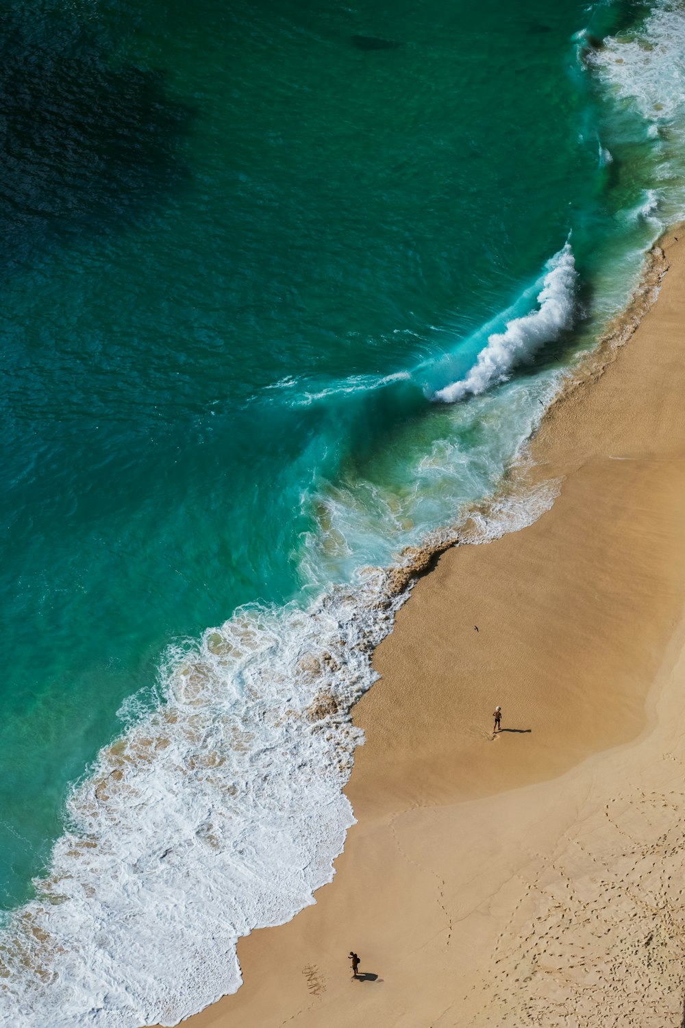 a couple of people walking along a beach next to the ocean