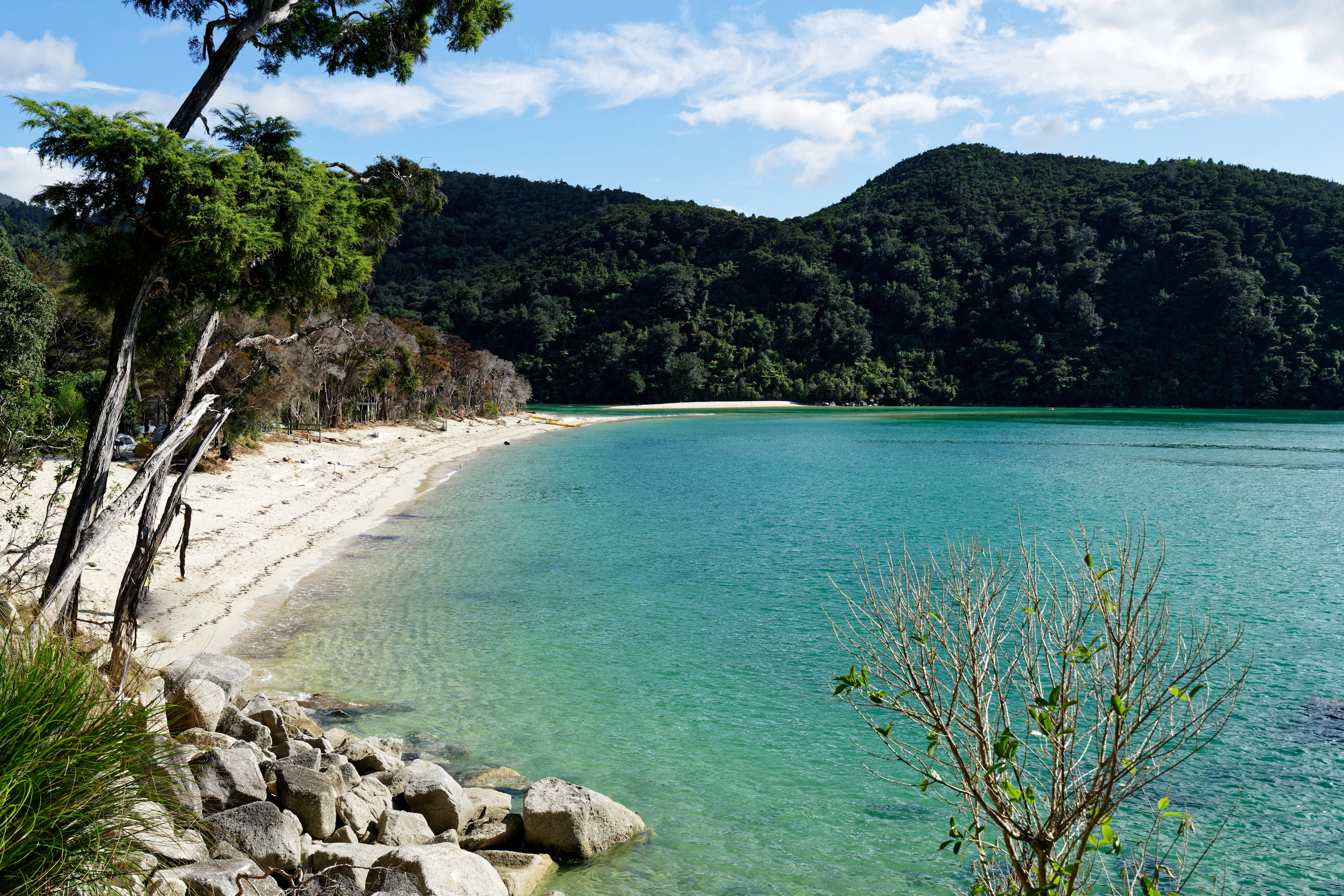 A golden-sand cove and clear water between forested hills, Abel Tasman National Park