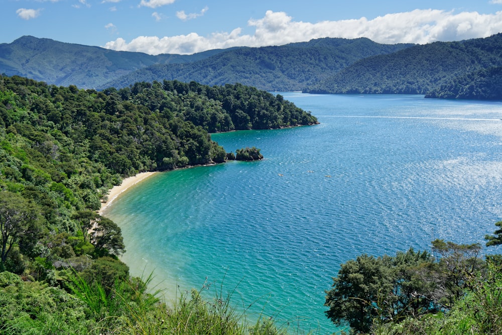 a large body of water surrounded by trees