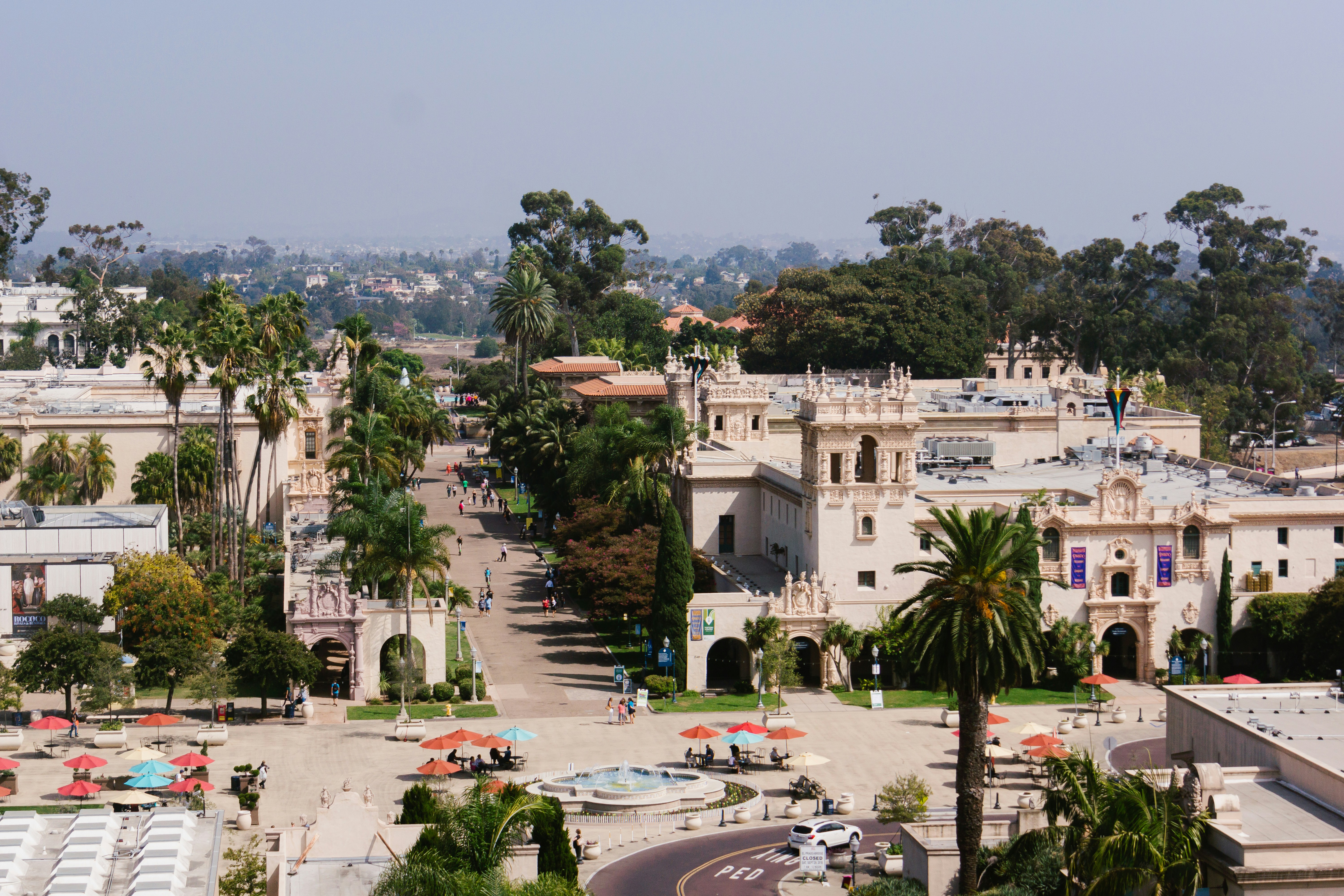 a view of a city with palm trees and buildings, 