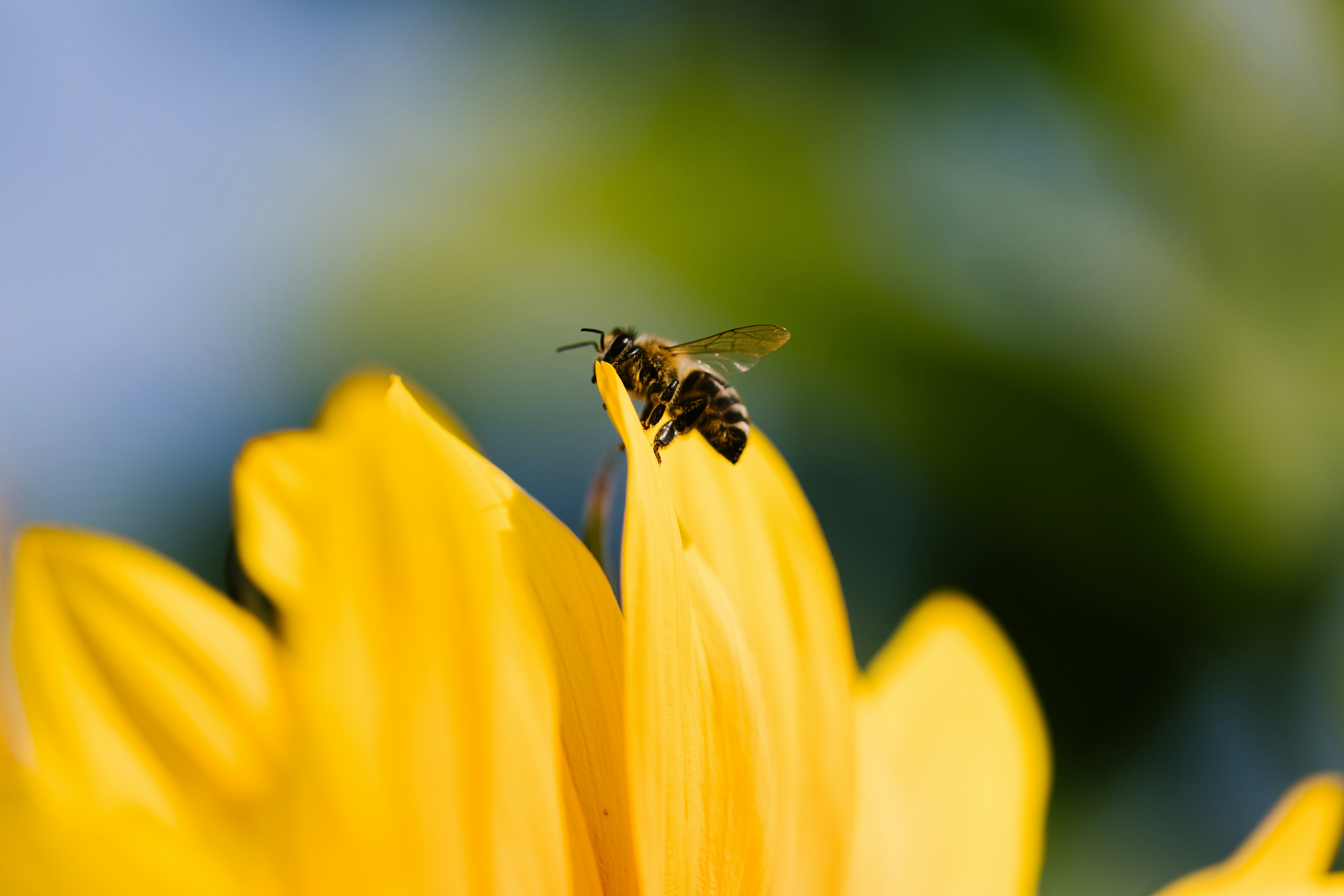 Photo by caroline_ross