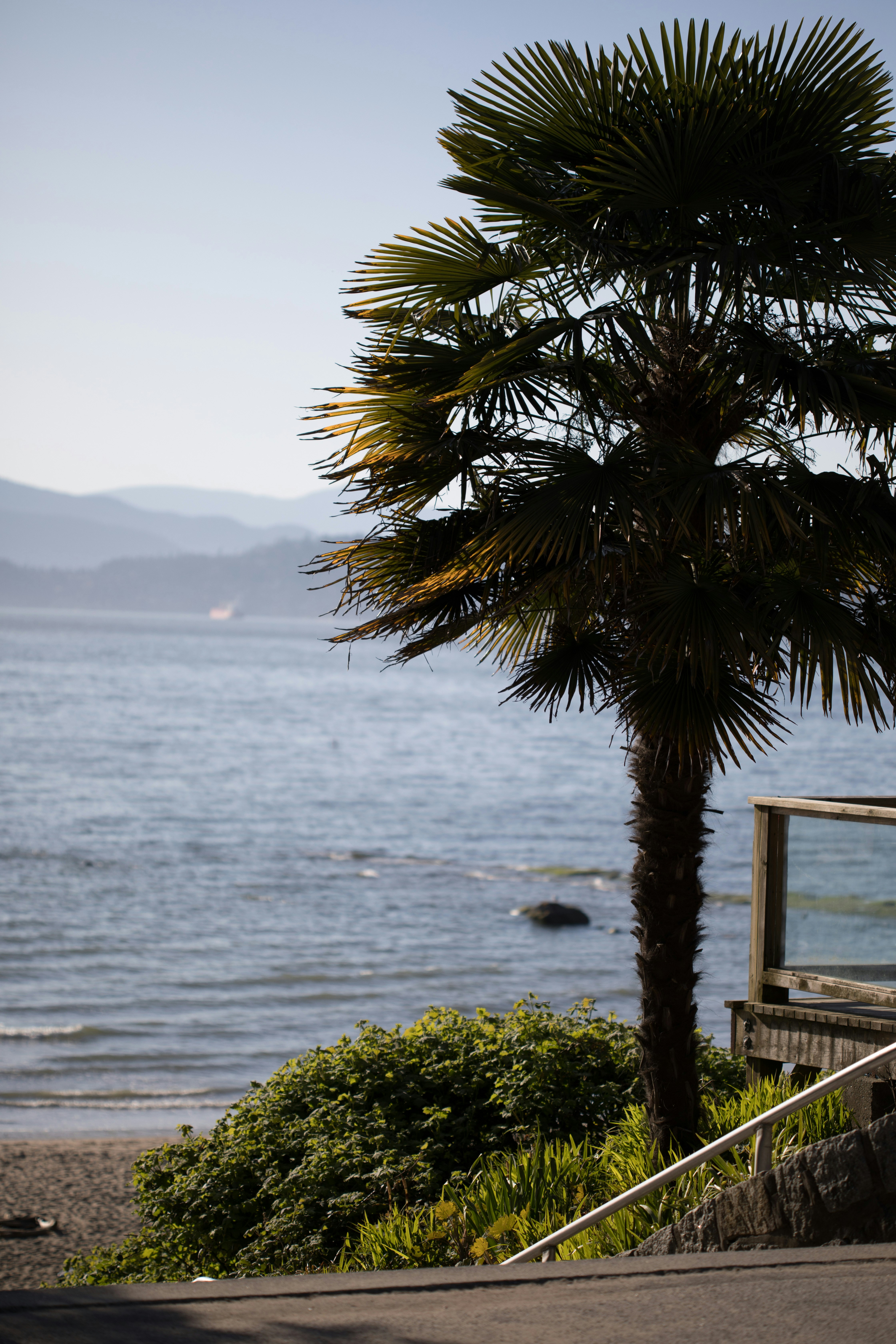 Photo by caroline_ross