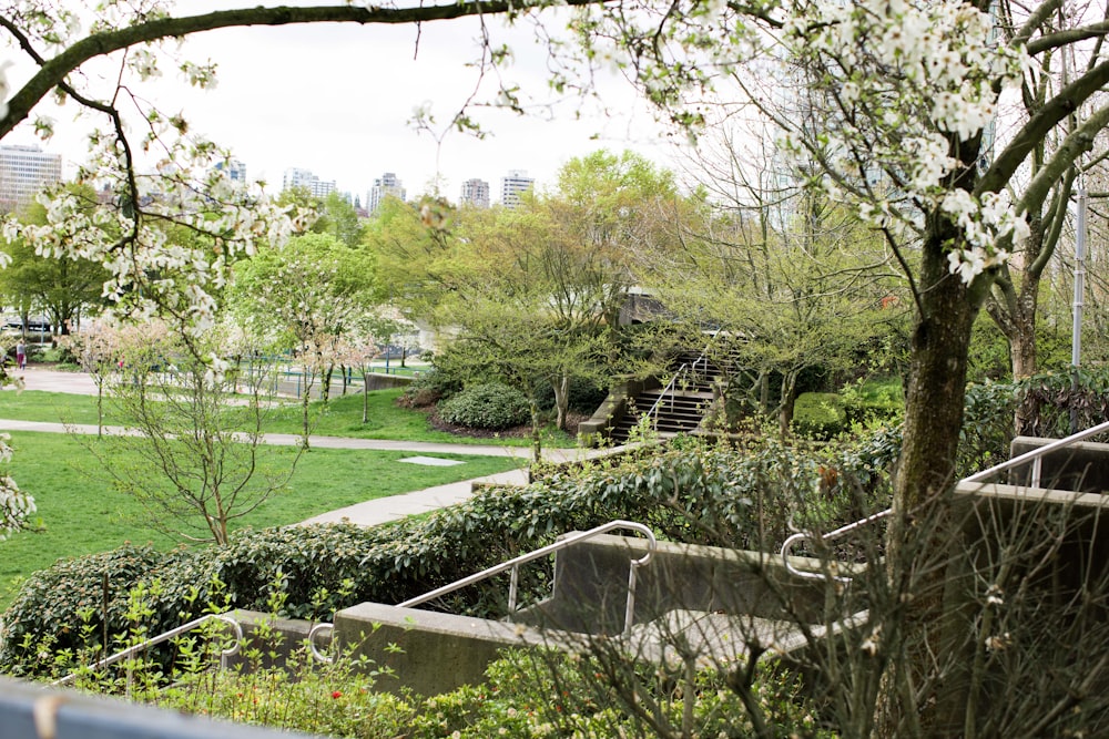 uma vista de um parque verde exuberante com muitas árvores