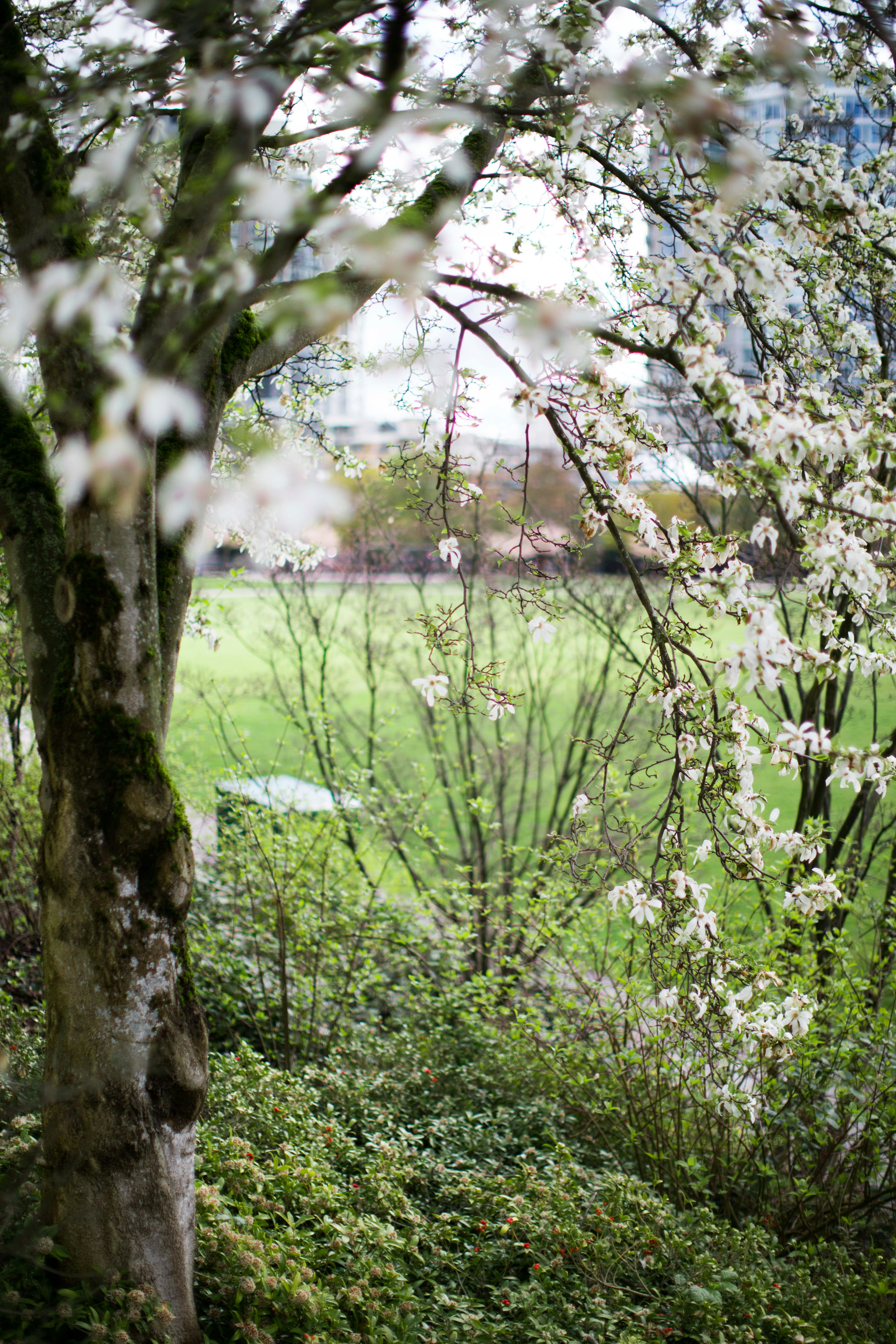 Photo by caroline_ross