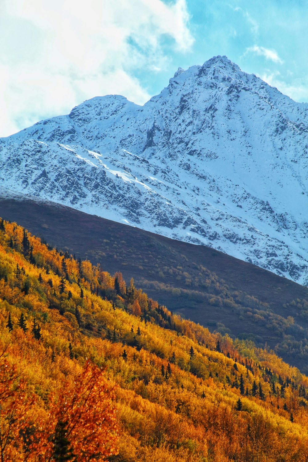 ein Berg mit Schnee und Bäumen im Vordergrund