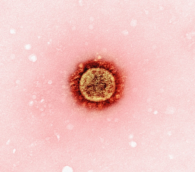 Hepatitis A: Simptomi, Prenos, Prevencija i Savremene Vakcine za Zaštitu Jetre