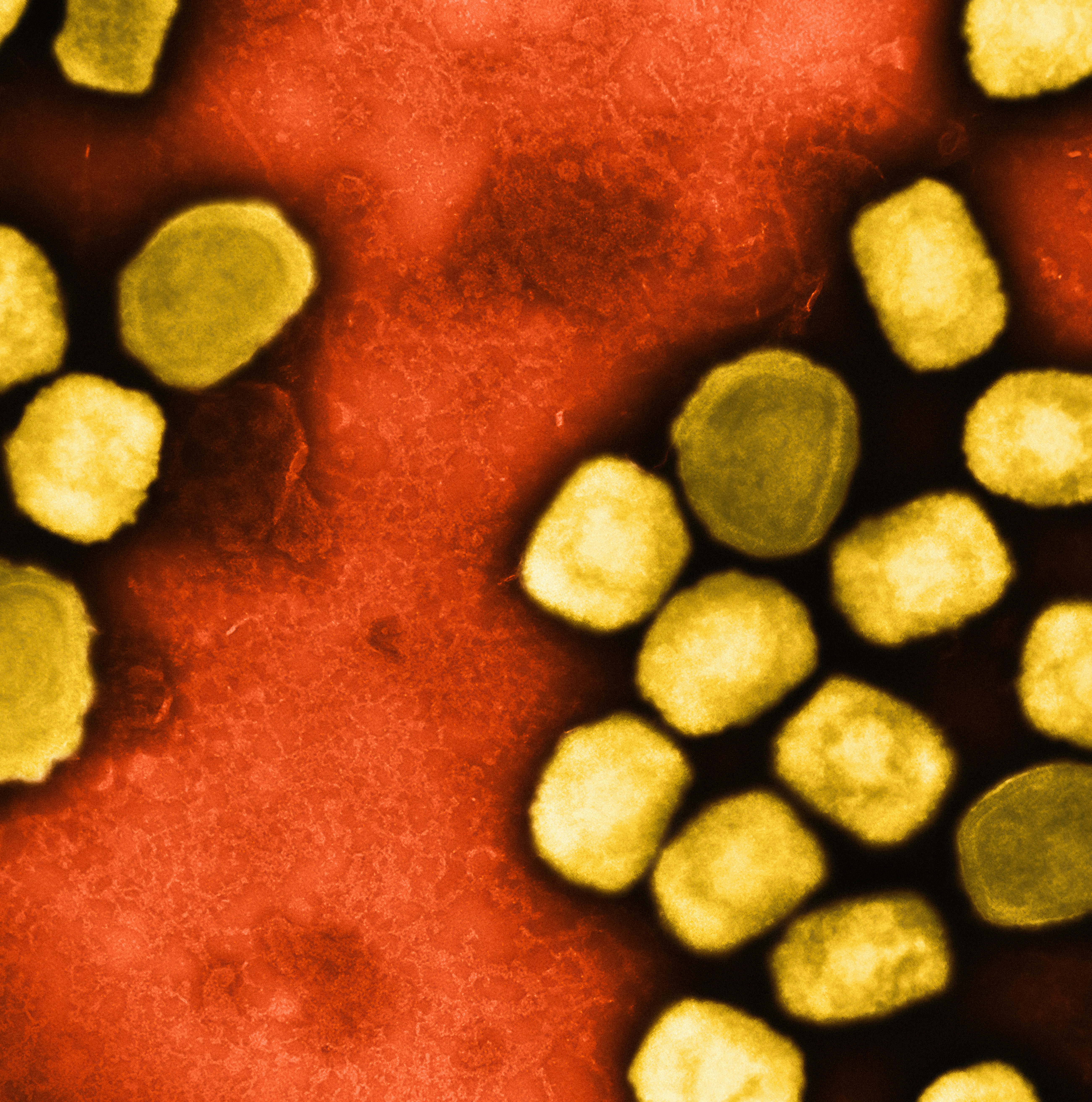 a close up of a cell phone with a red background