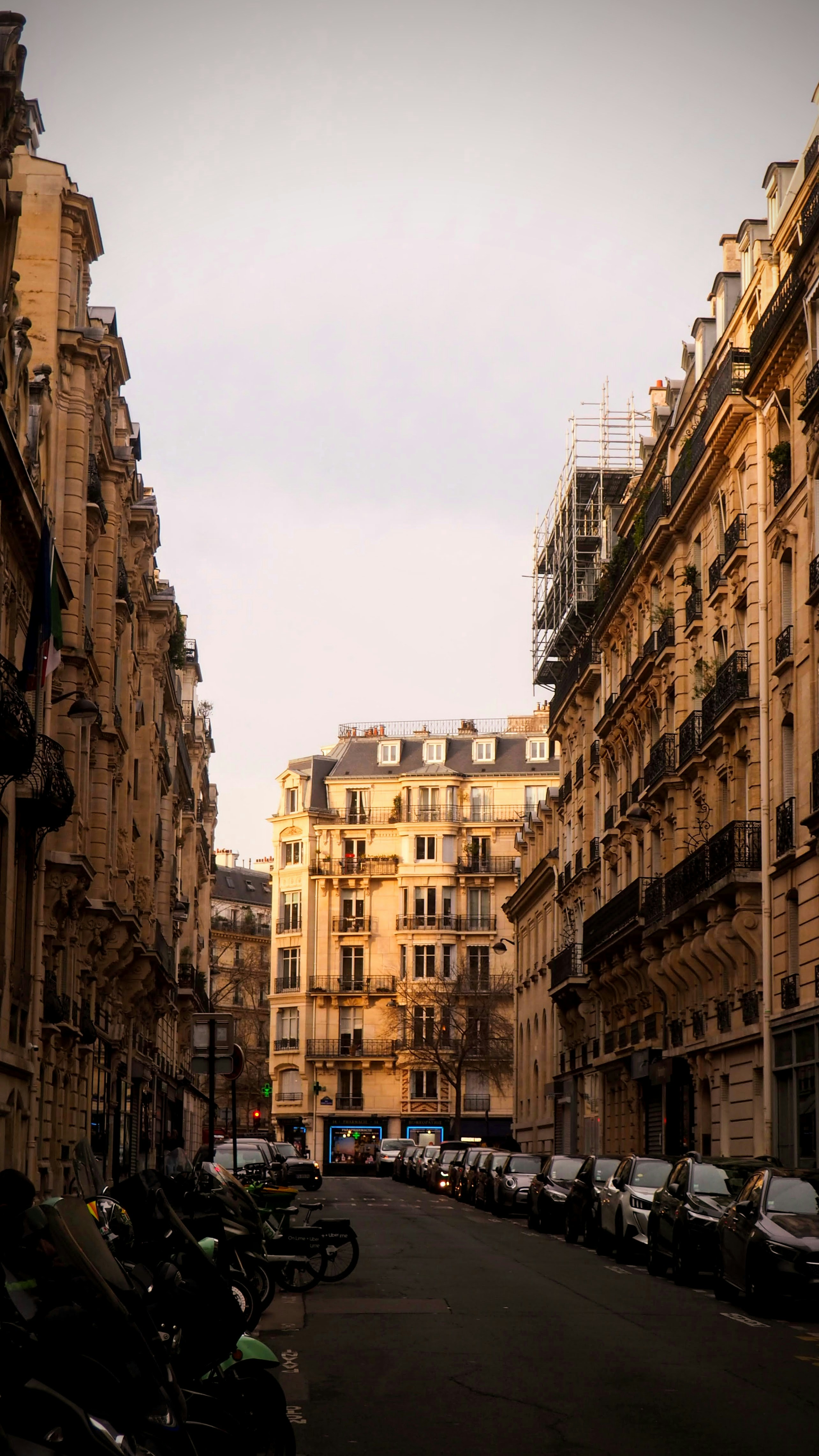 Photo by benji_da_vinci