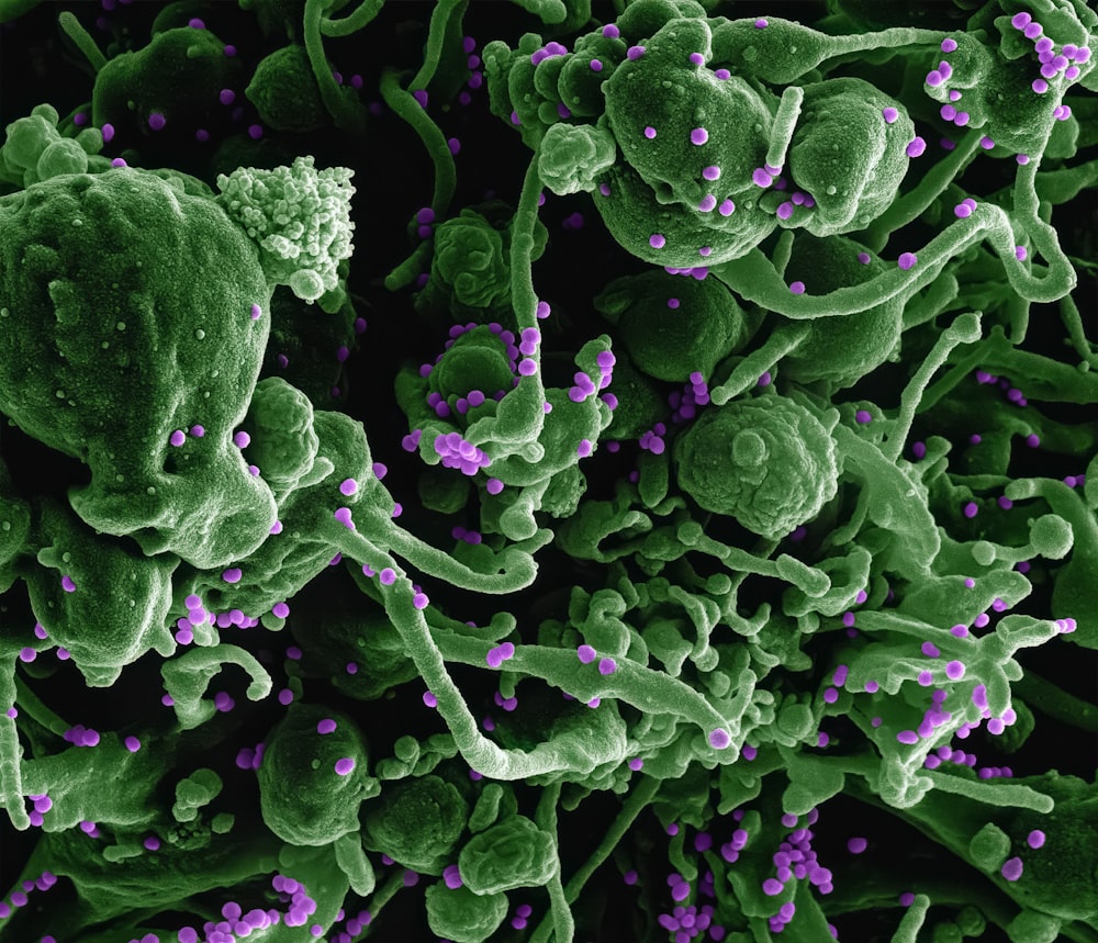 a close up of a green and purple substance