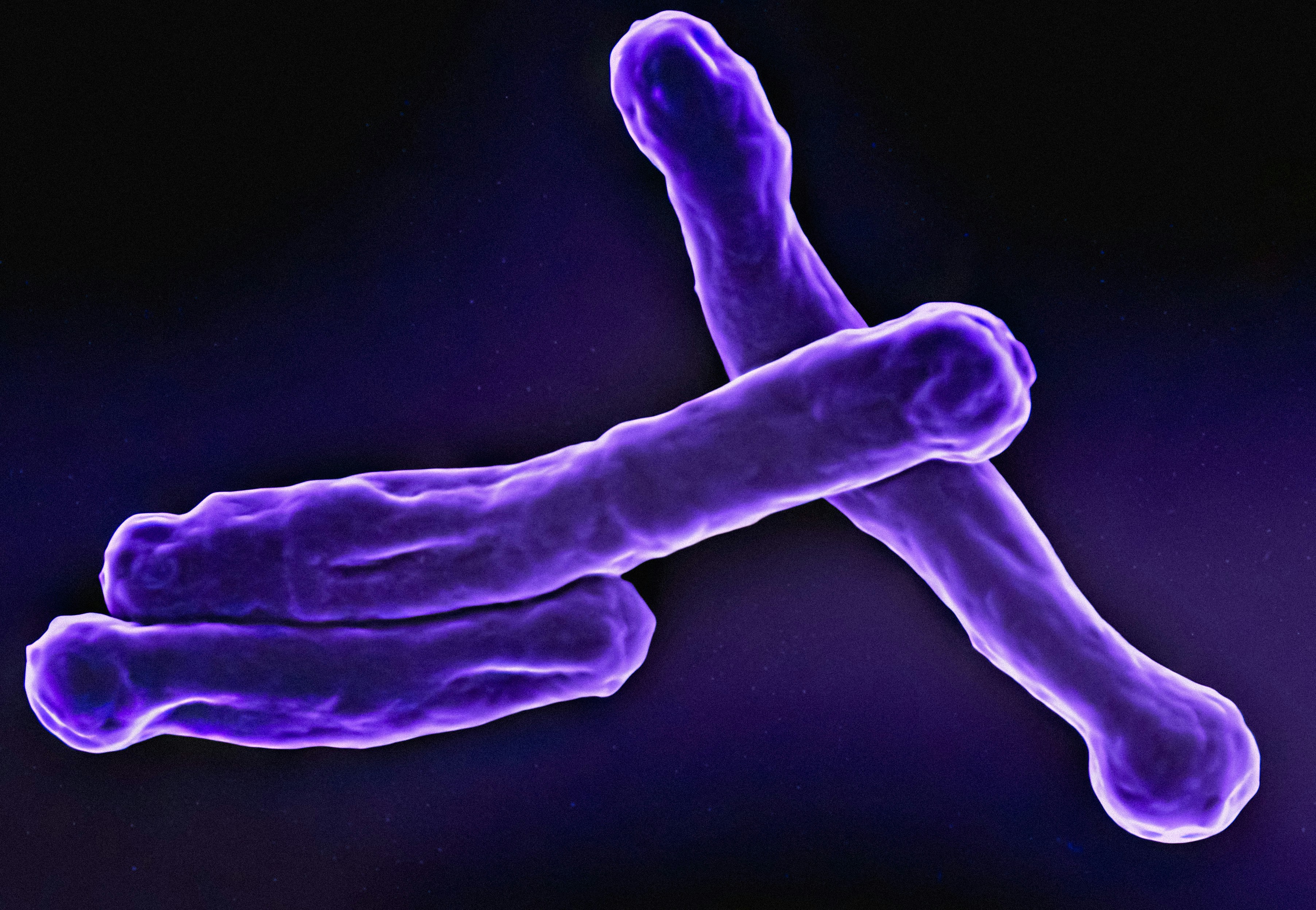 How Oxalates Influence Gut Immune Function: 7 Essential Facts