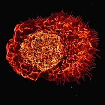 a close up of a red and yellow substance