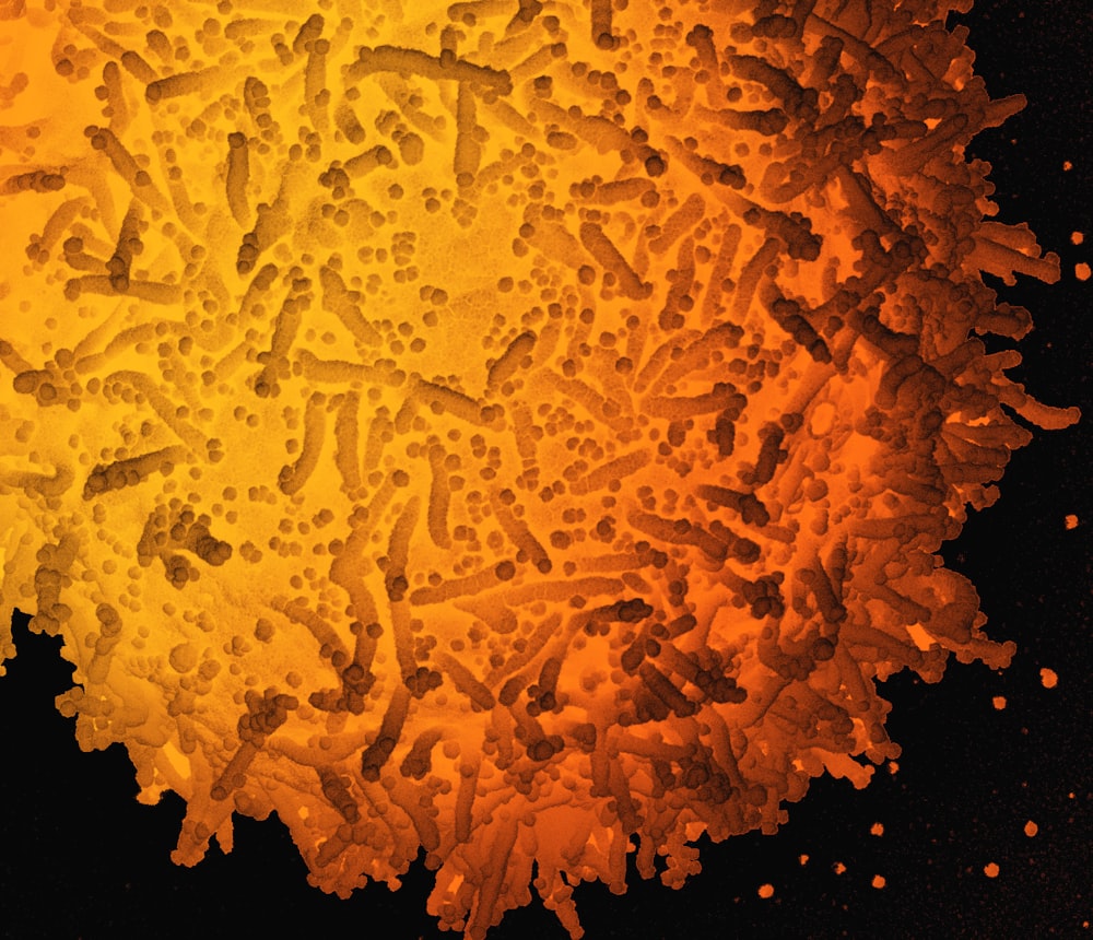 a close up of an orange and yellow substance