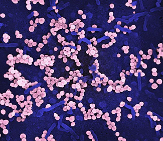 a bunch of pink and blue pills on a blue surface
