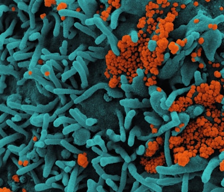 a close up of an orange and blue substance