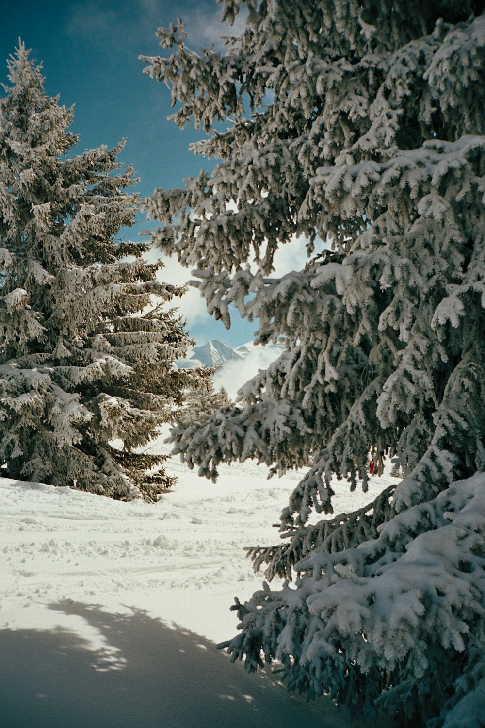 a person riding skis down a snow covered slope