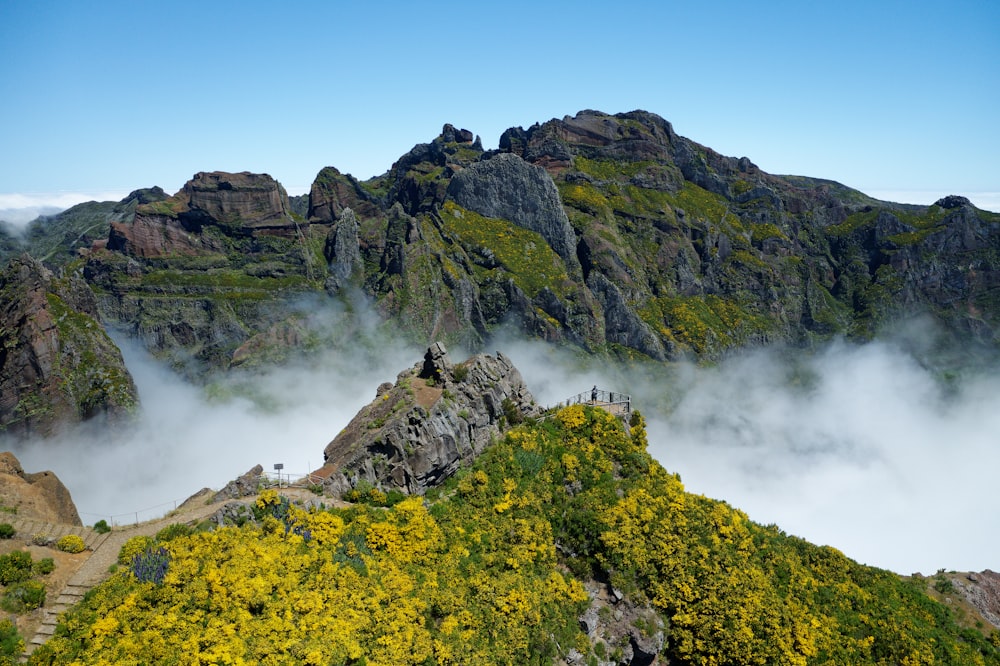 a mountain covered in clouds and yellow flowers