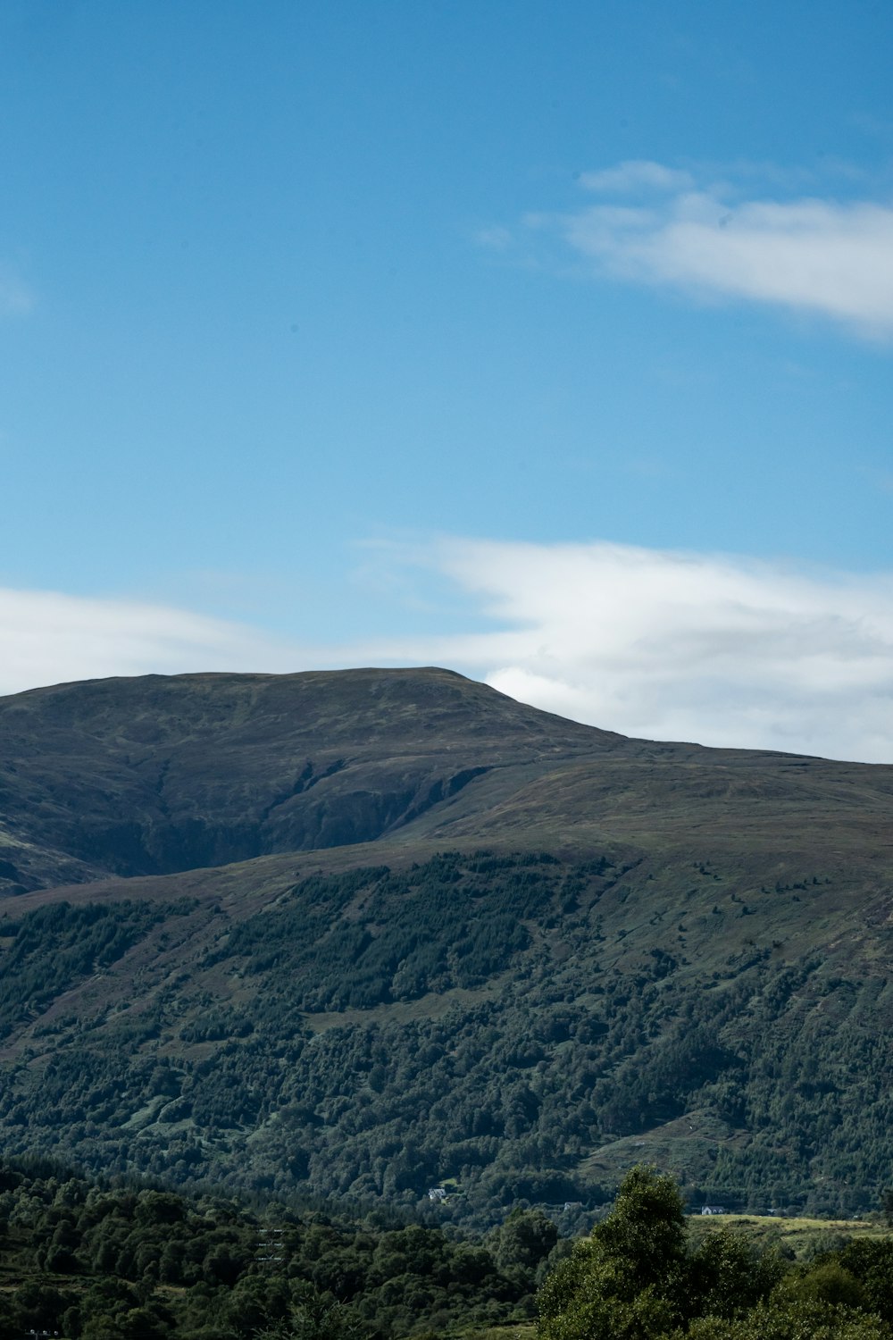 a mountain with a few trees on the side of it