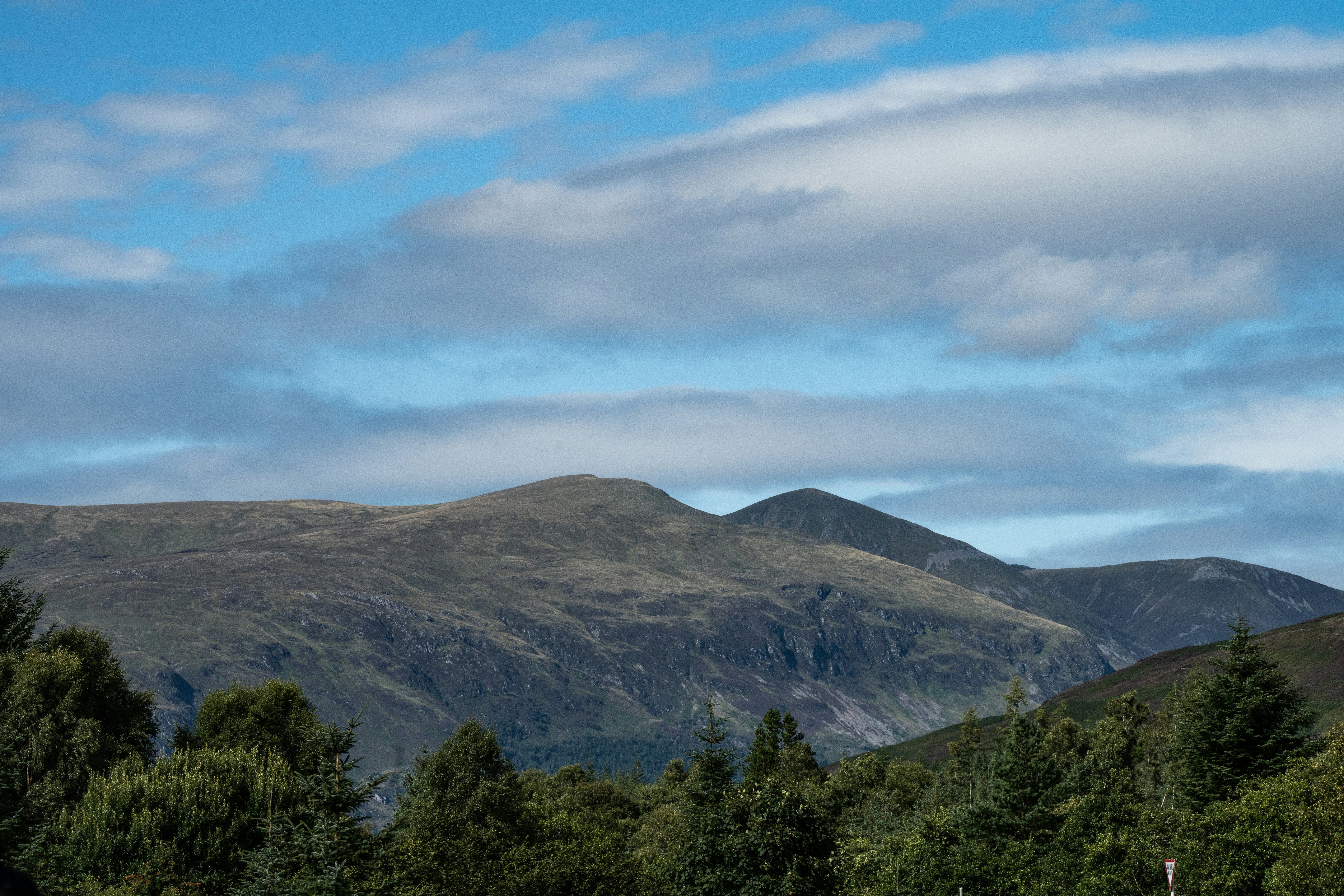 Photo by winstontjia