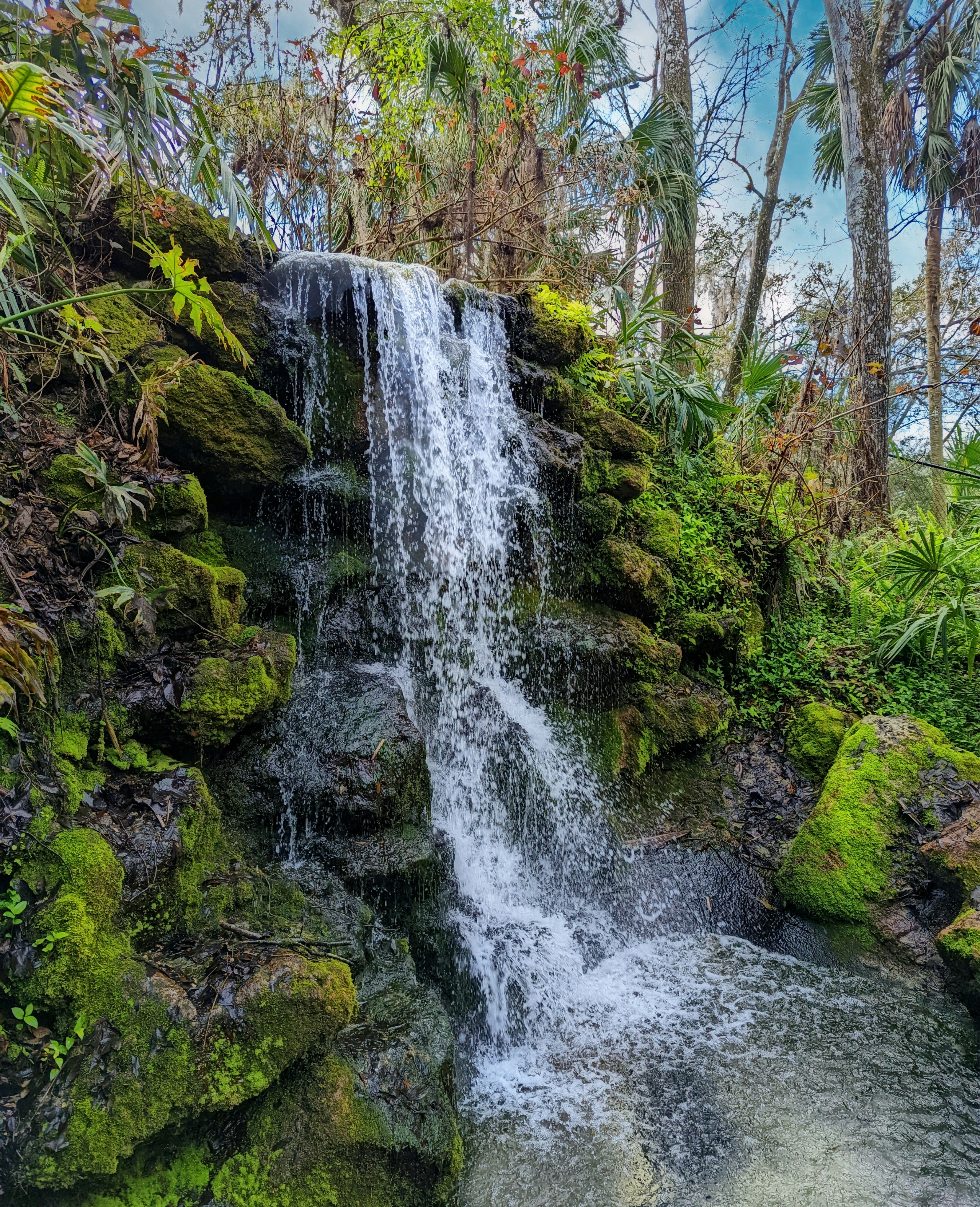 Photo by freethinker