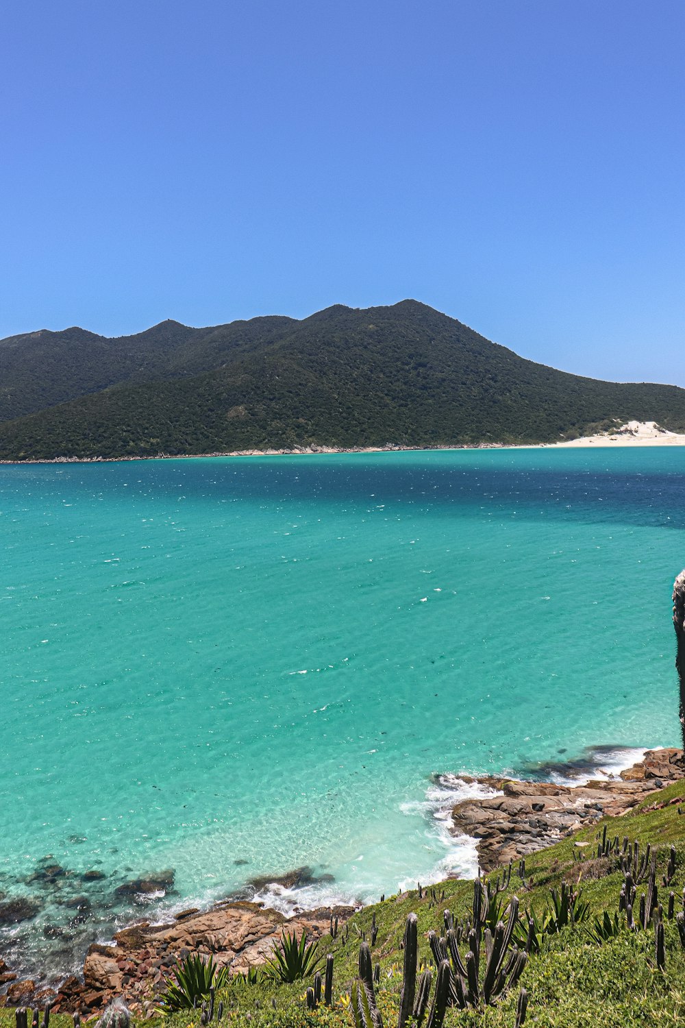 a man standing on top of a lush green hillside next to the ocean