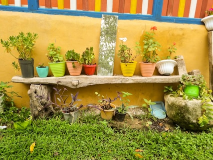 a wooden bench with potted plants on top of it