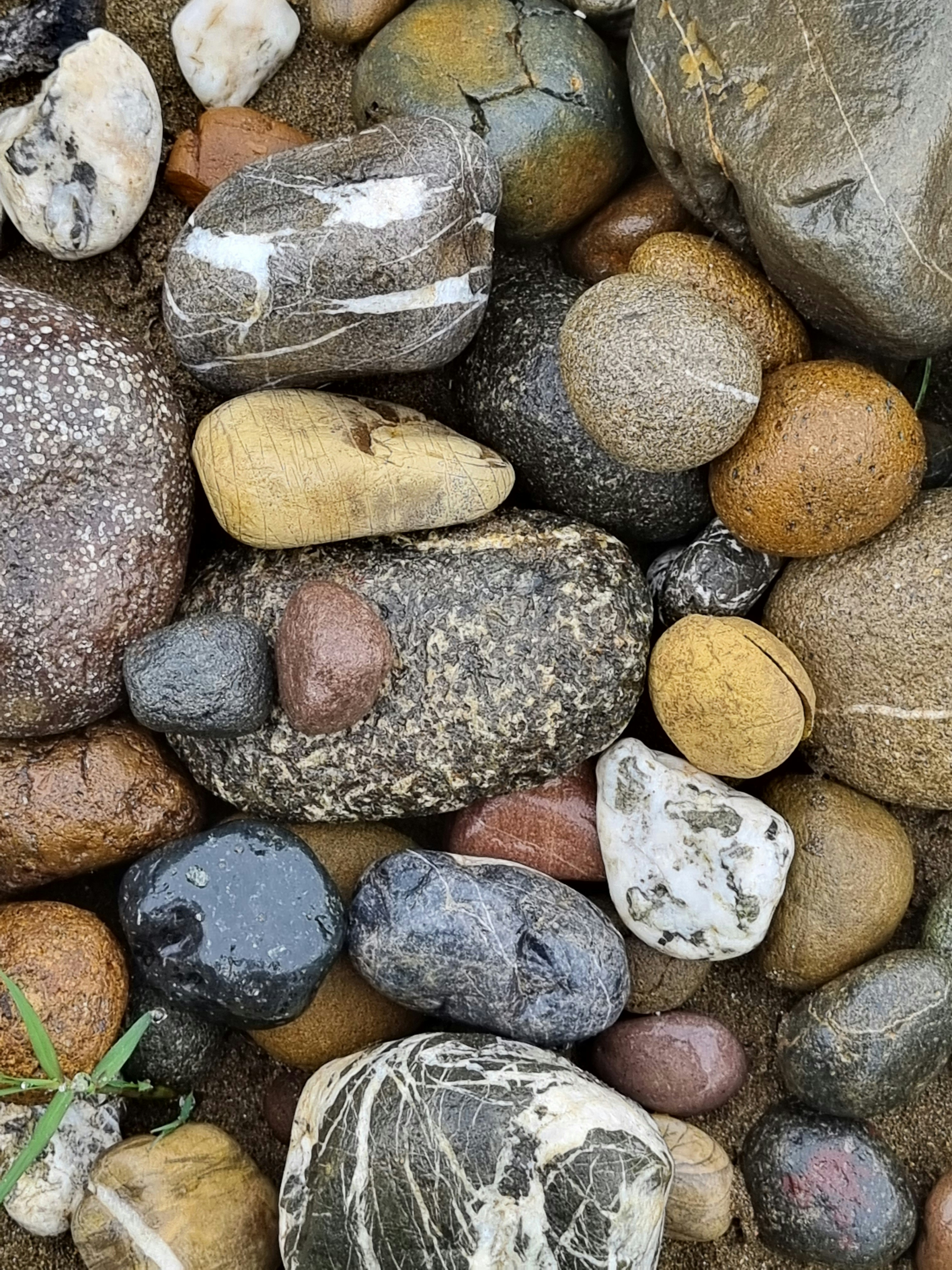 a bunch of rocks that are on the ground