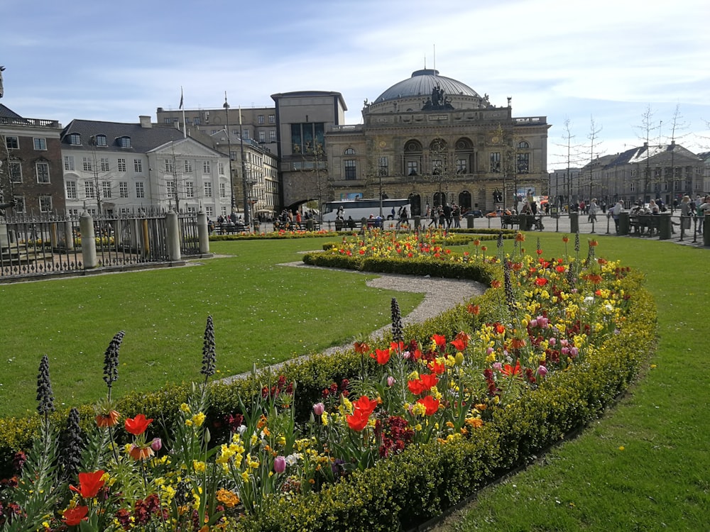 a garden with flowers in the middle of it