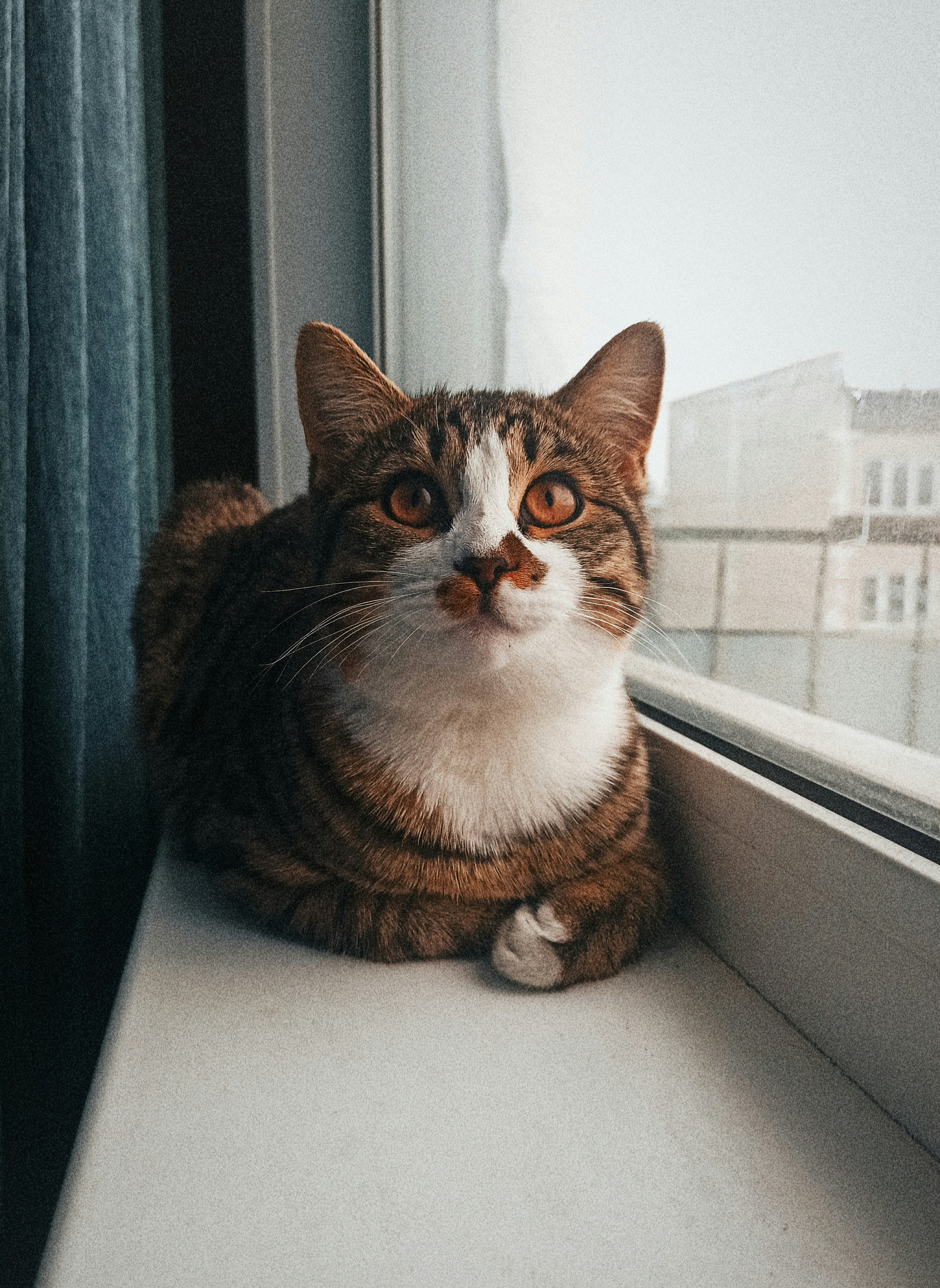 Photo by eugenemagia