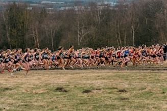 a large group of people running in a race