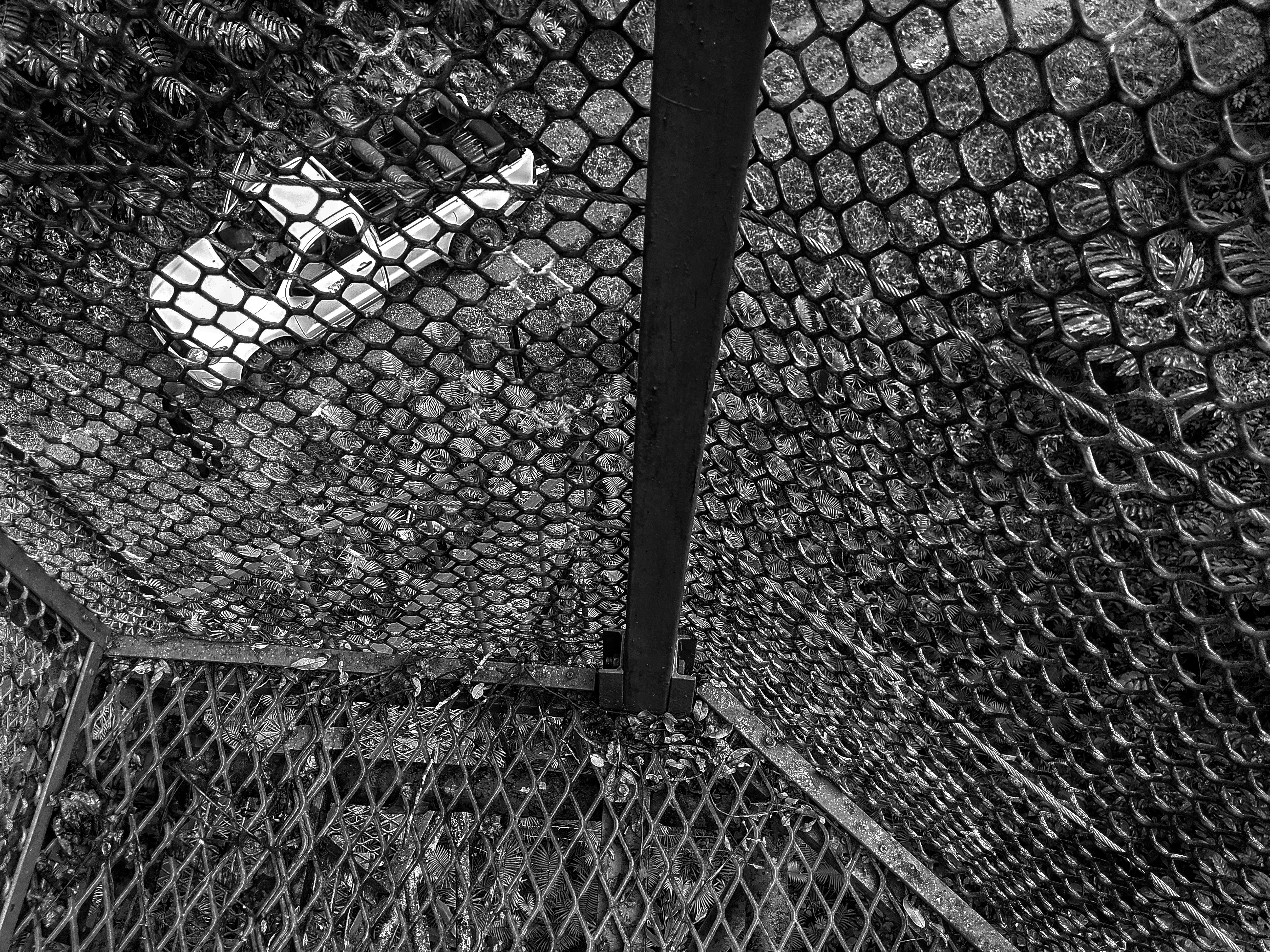 Borneo, Malaysia - None