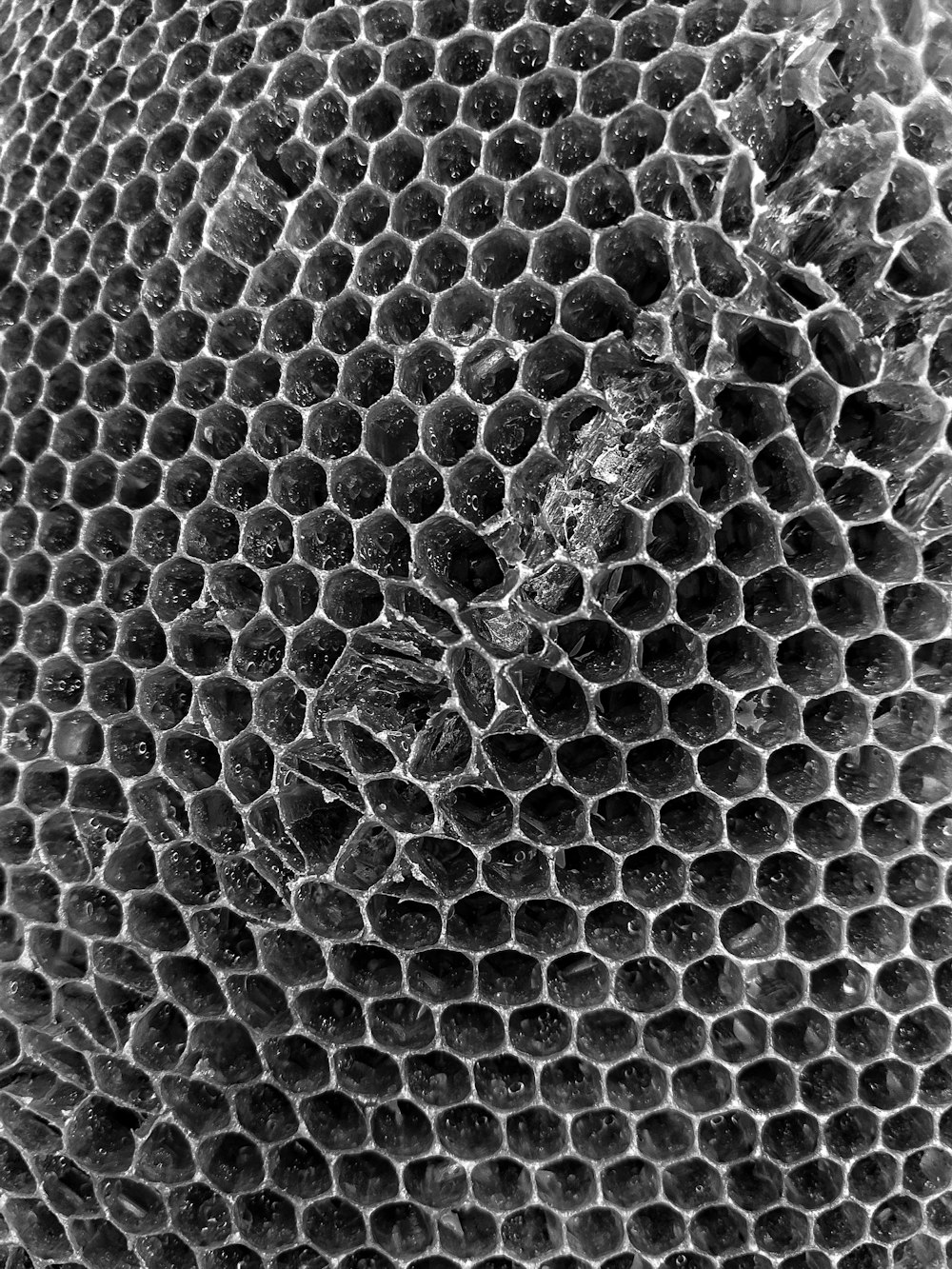 a black and white photo of a honeycomb