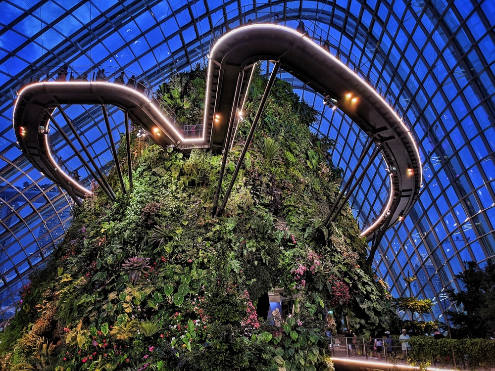 a huge plant covered building in a building