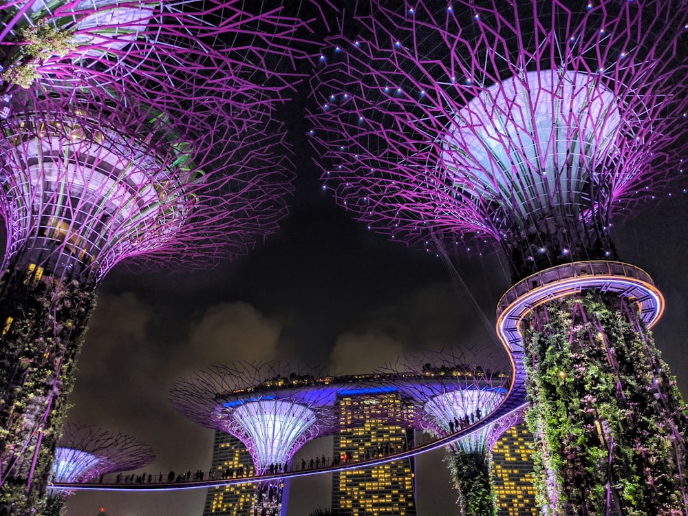 the gardens by the bay at night in singapore