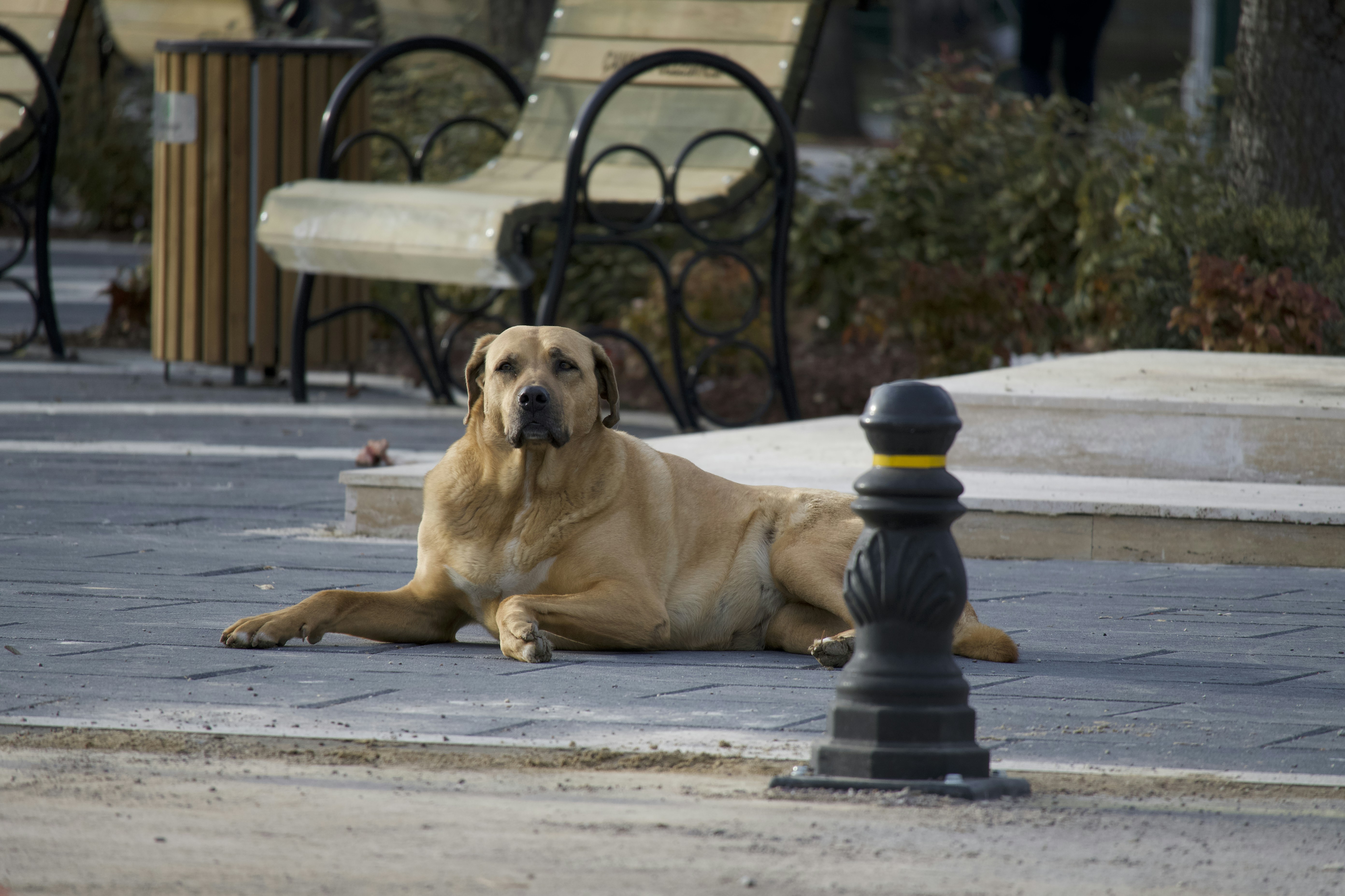 Ankaralılar Serin Havada Saraçoğlu Park’ta Hafta Sonunu Değerlendirdi - Yaşam haberi görseli